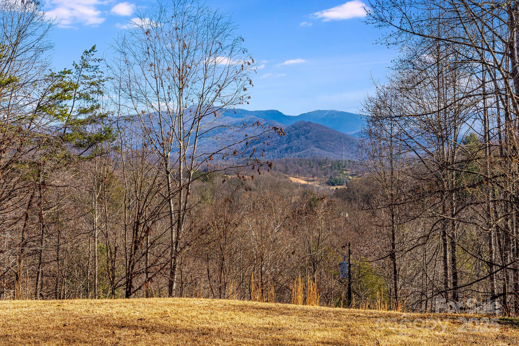 15 Cyrus Lane — Weaverville