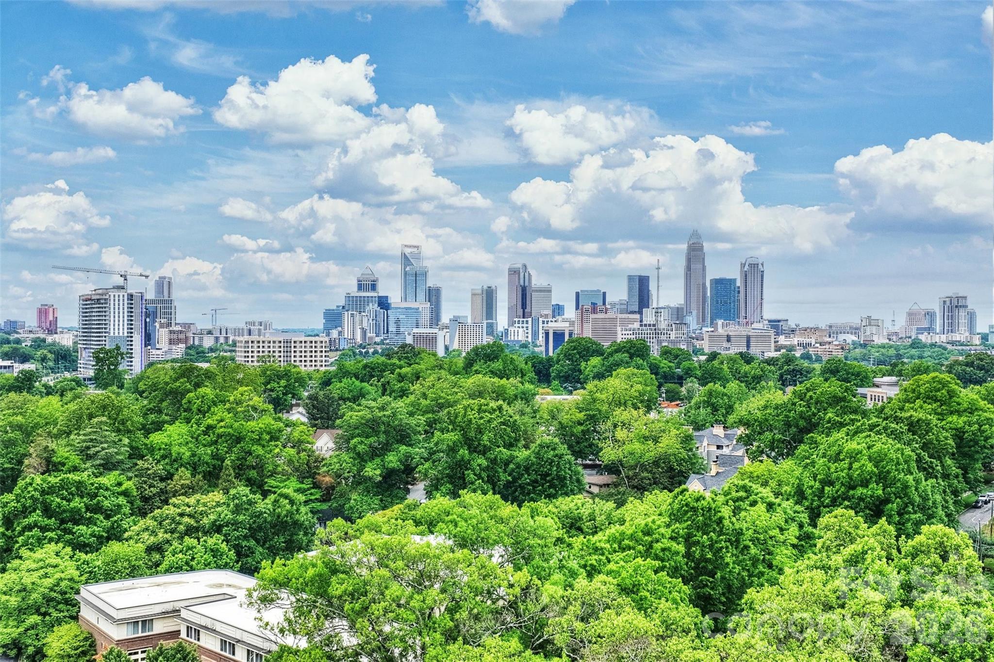 409 Queens Road #201 — Charlotte