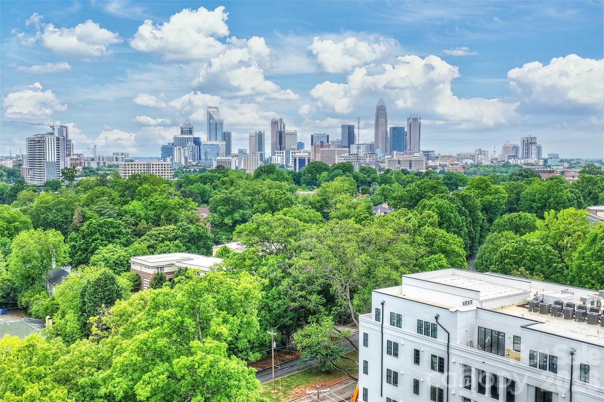 409 Queens Road #201 — Charlotte