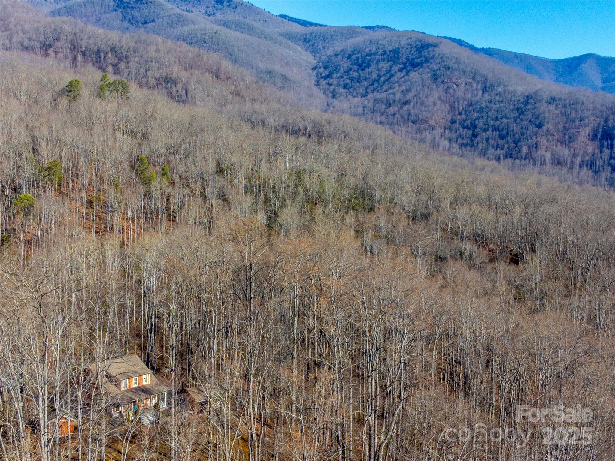 1226 Monteith Branch Road — Sylva