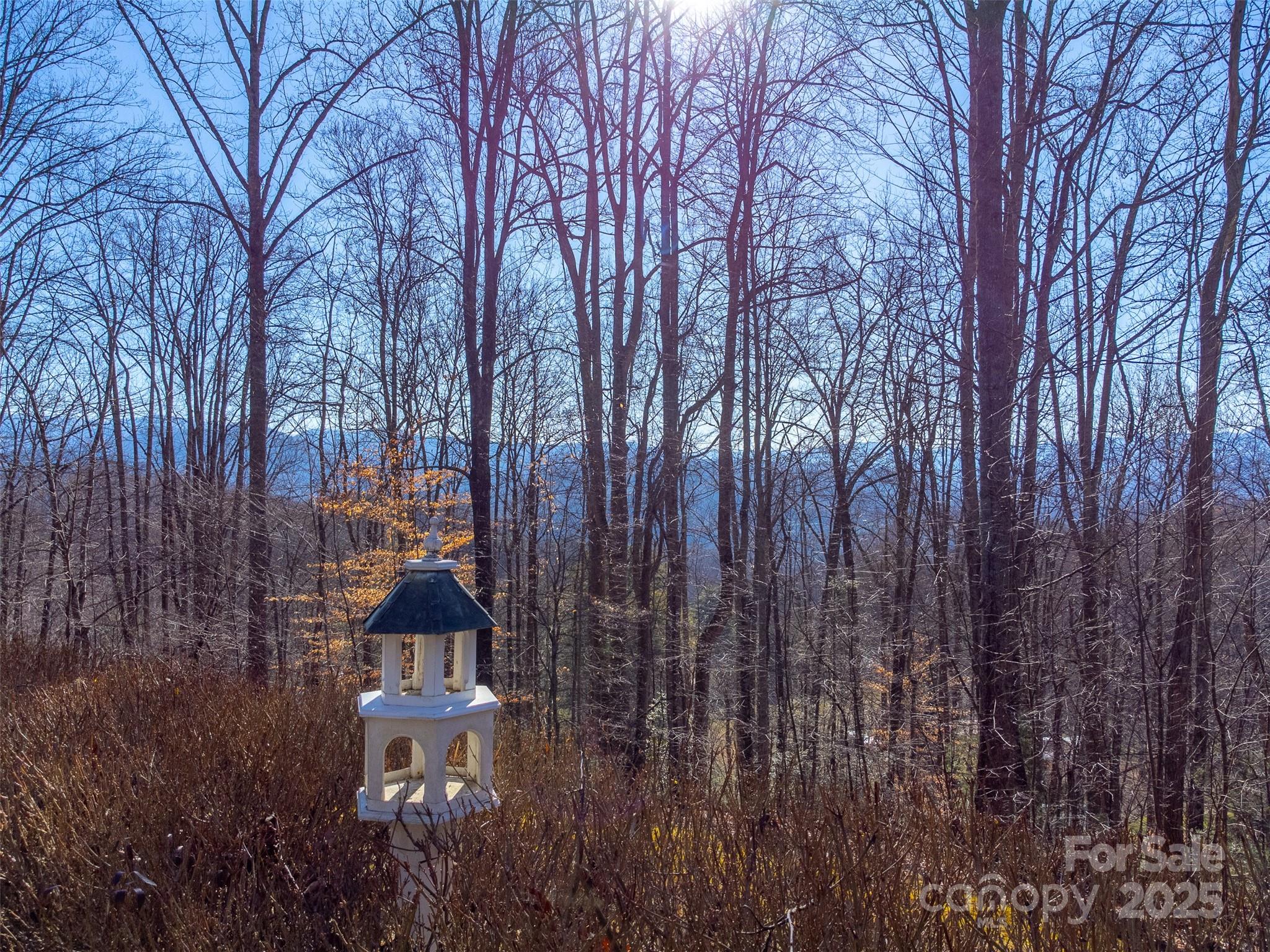 1226 Monteith Branch Road — Sylva
