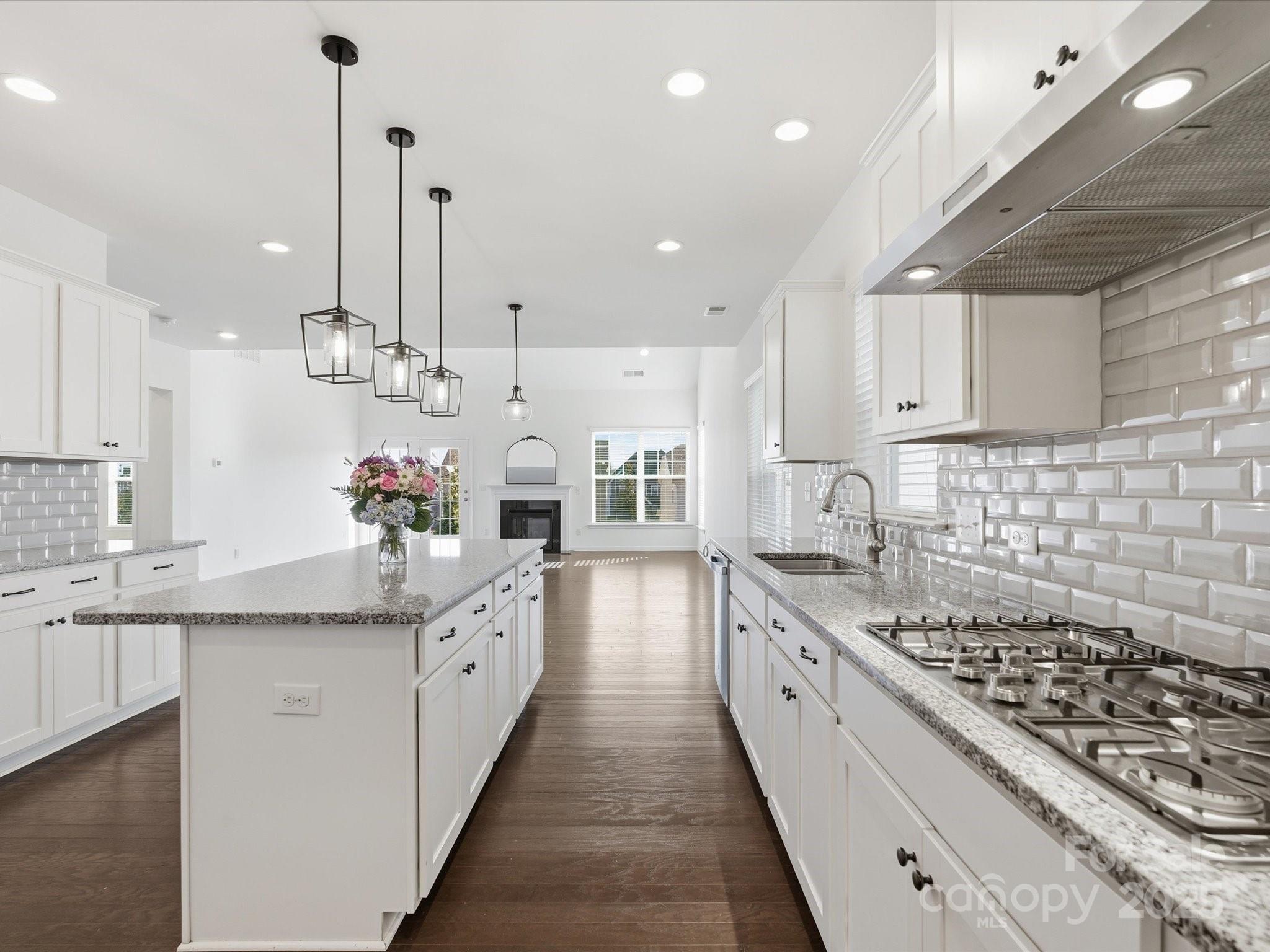 1005 Argentium Way — Waxhaw