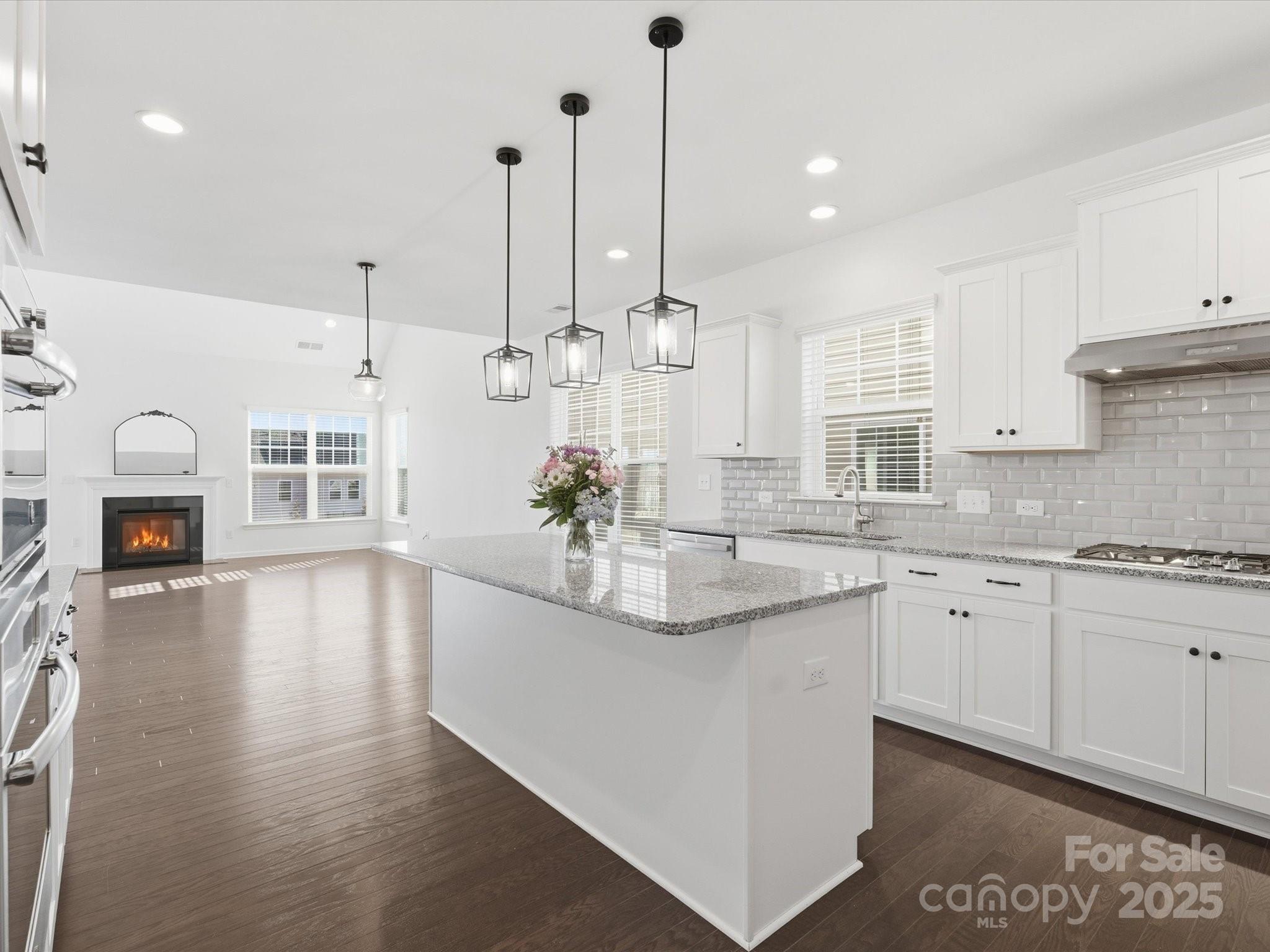 1005 Argentium Way — Waxhaw