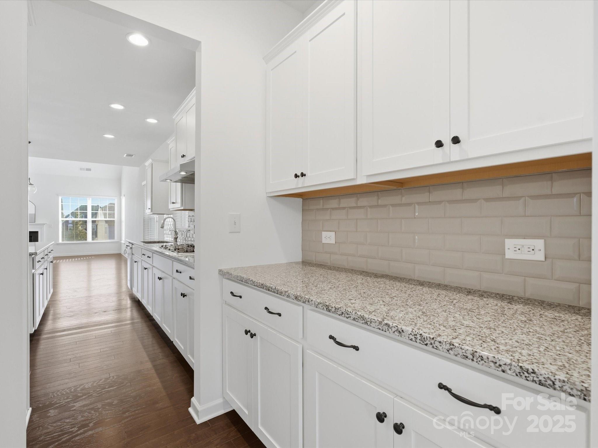 1005 Argentium Way — Waxhaw