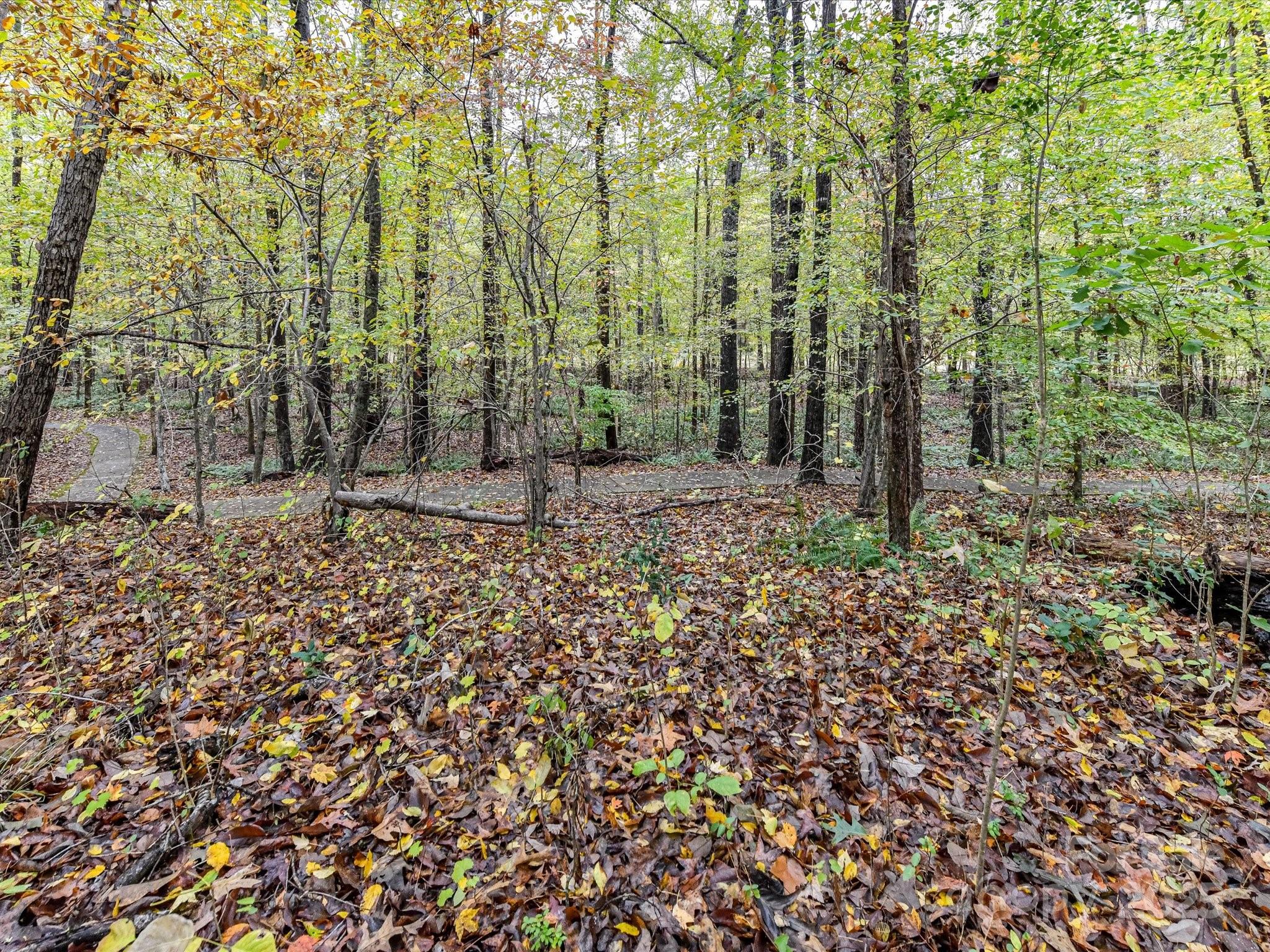 8004 Penman Springs Drive — Waxhaw