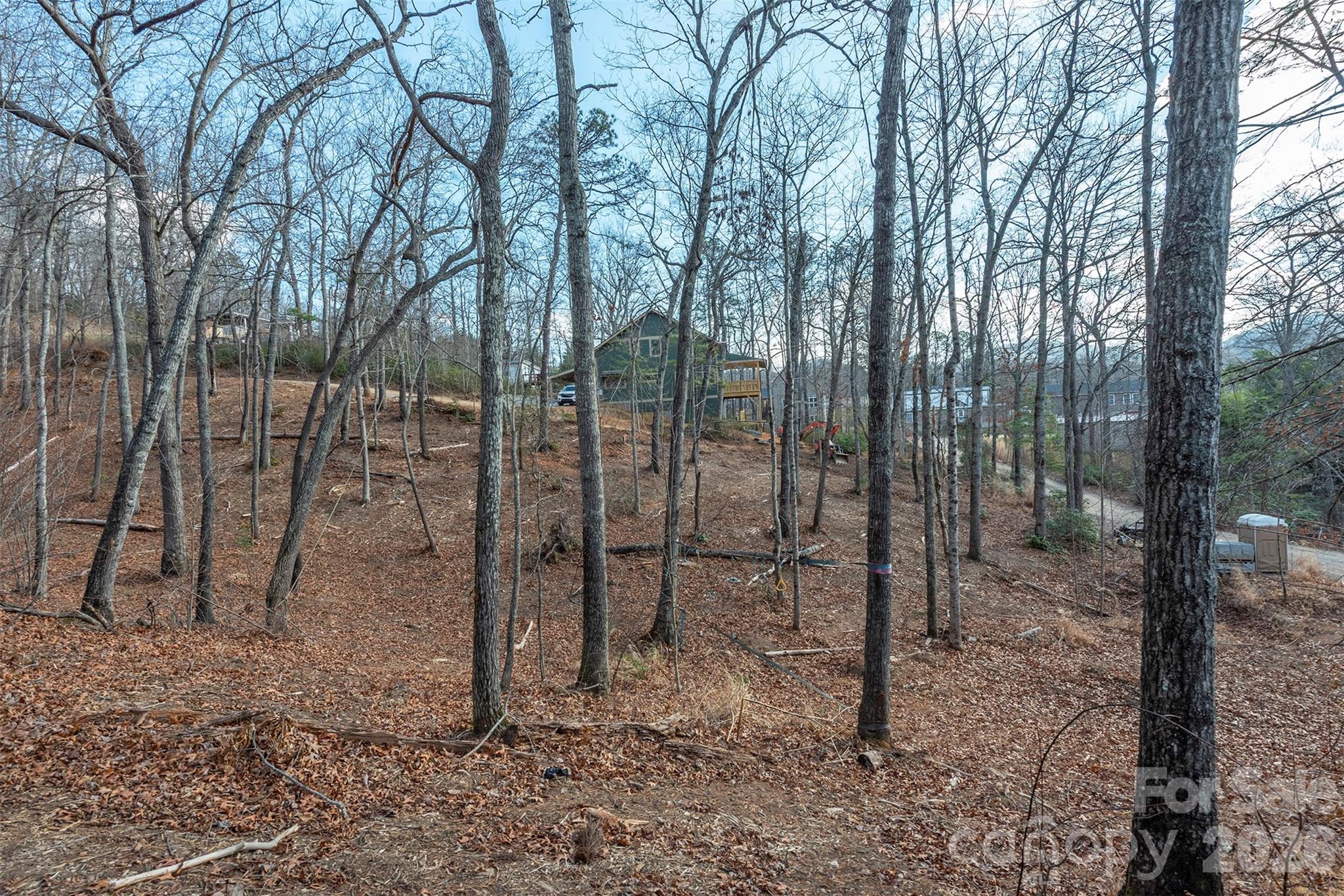 115 Bartram Way — Black Mountain
