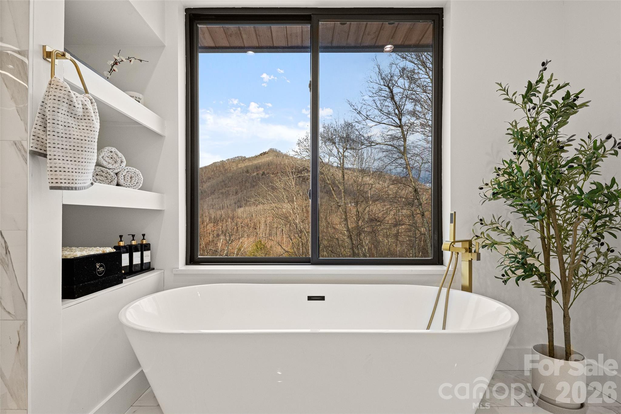 22 Chesten Mountain Drive — Asheville