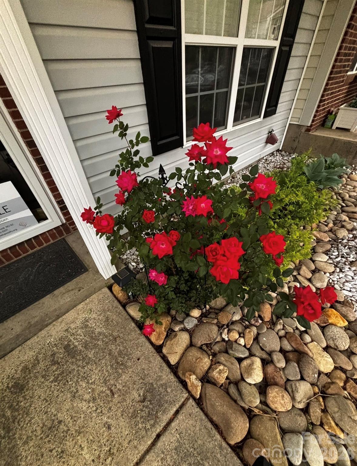 8376 Rudolph Road — Charlotte