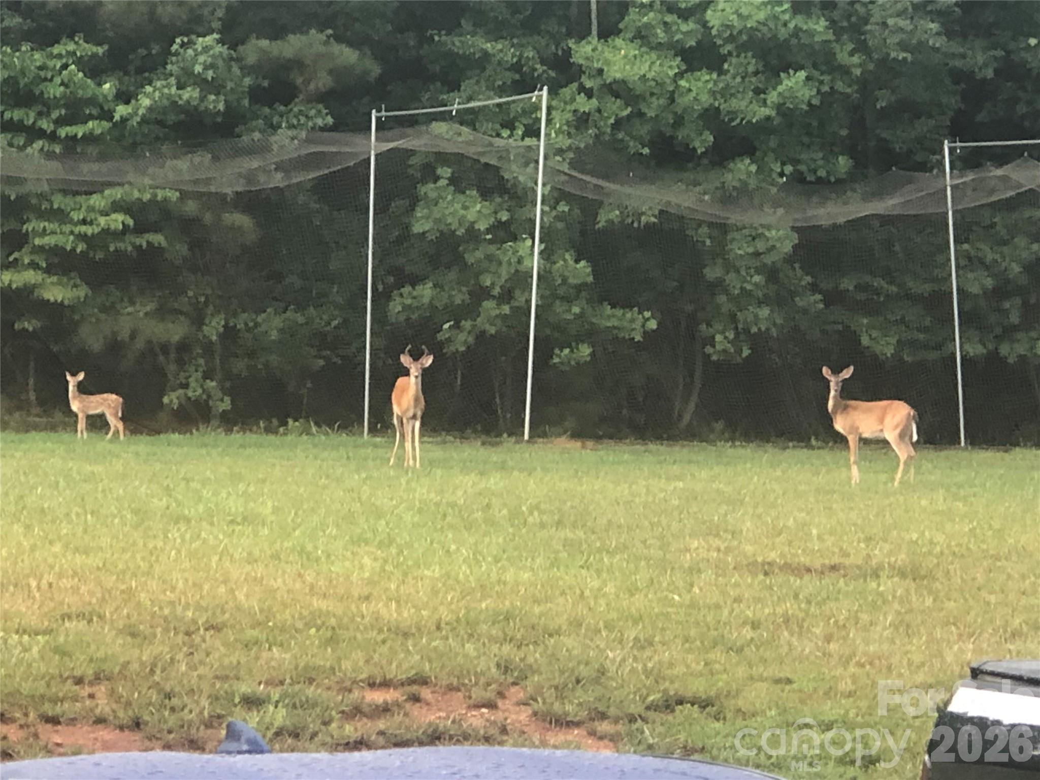 2720 Lakefront Drive — Belmont