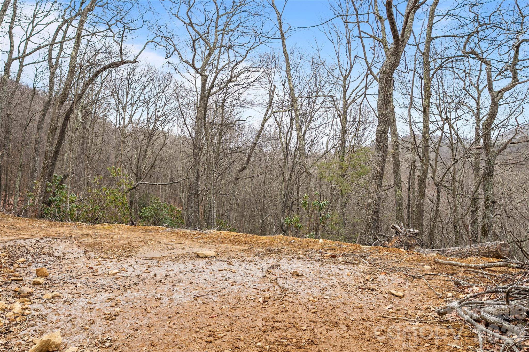 1480 Odalu Trail — Maggie Valley