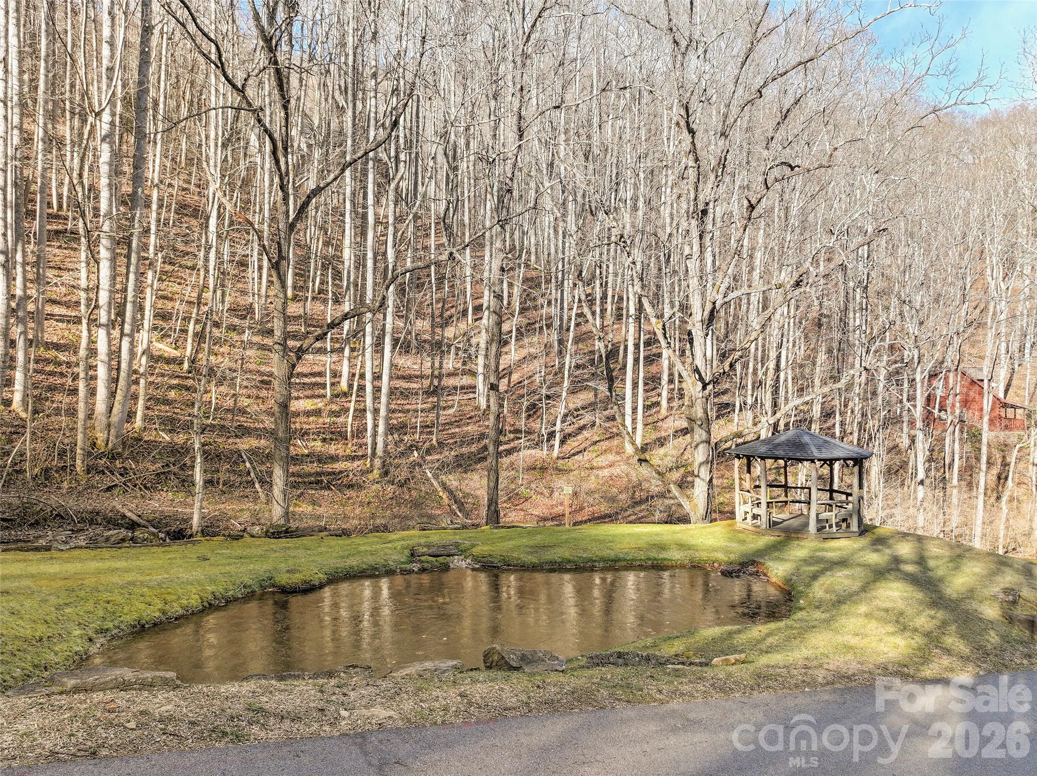 1480 Odalu Trail — Maggie Valley