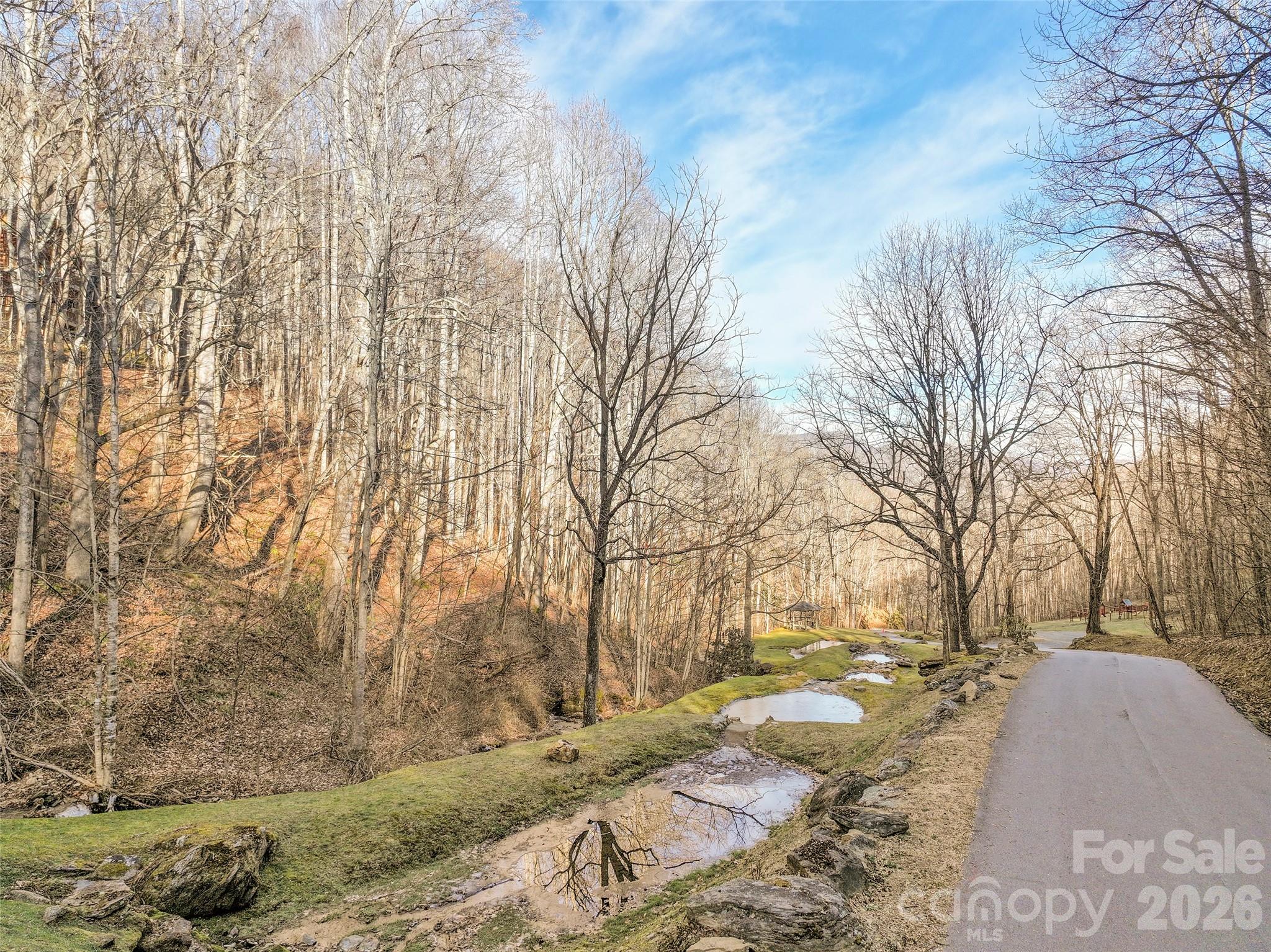 1480 Odalu Trail — Maggie Valley