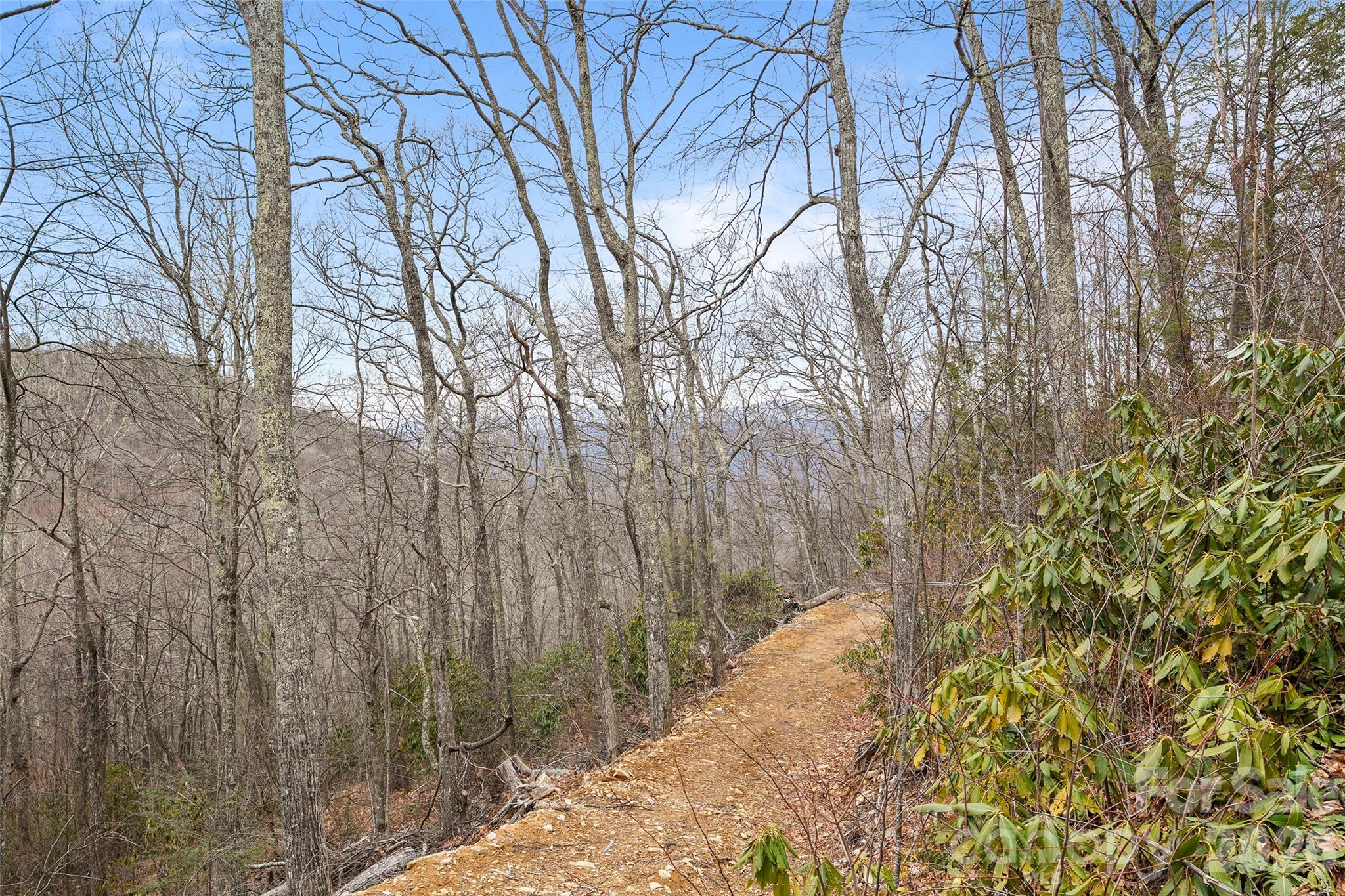 1480 Odalu Trail — Maggie Valley