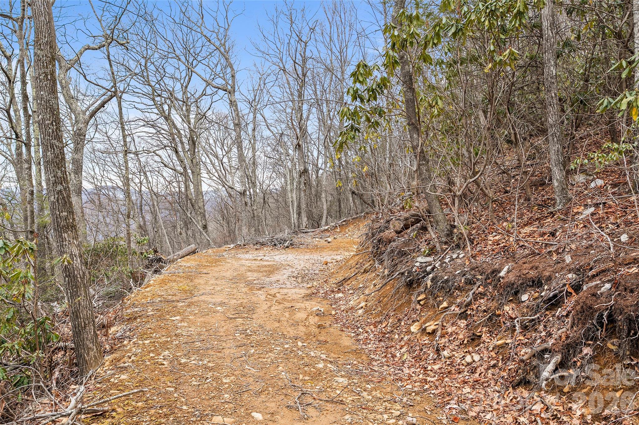 1480 Odalu Trail — Maggie Valley