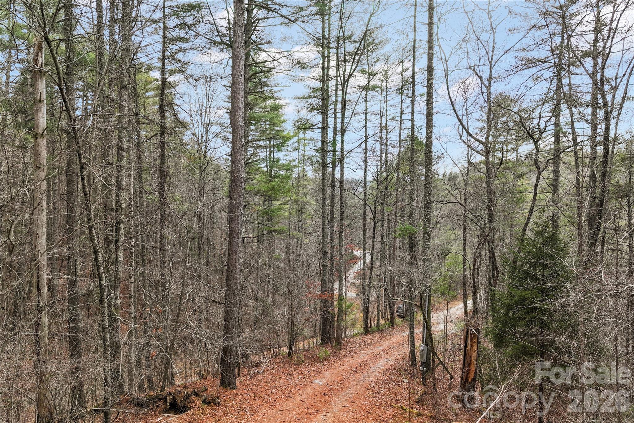 109 Tumblebug Trail Road — Flat Rock