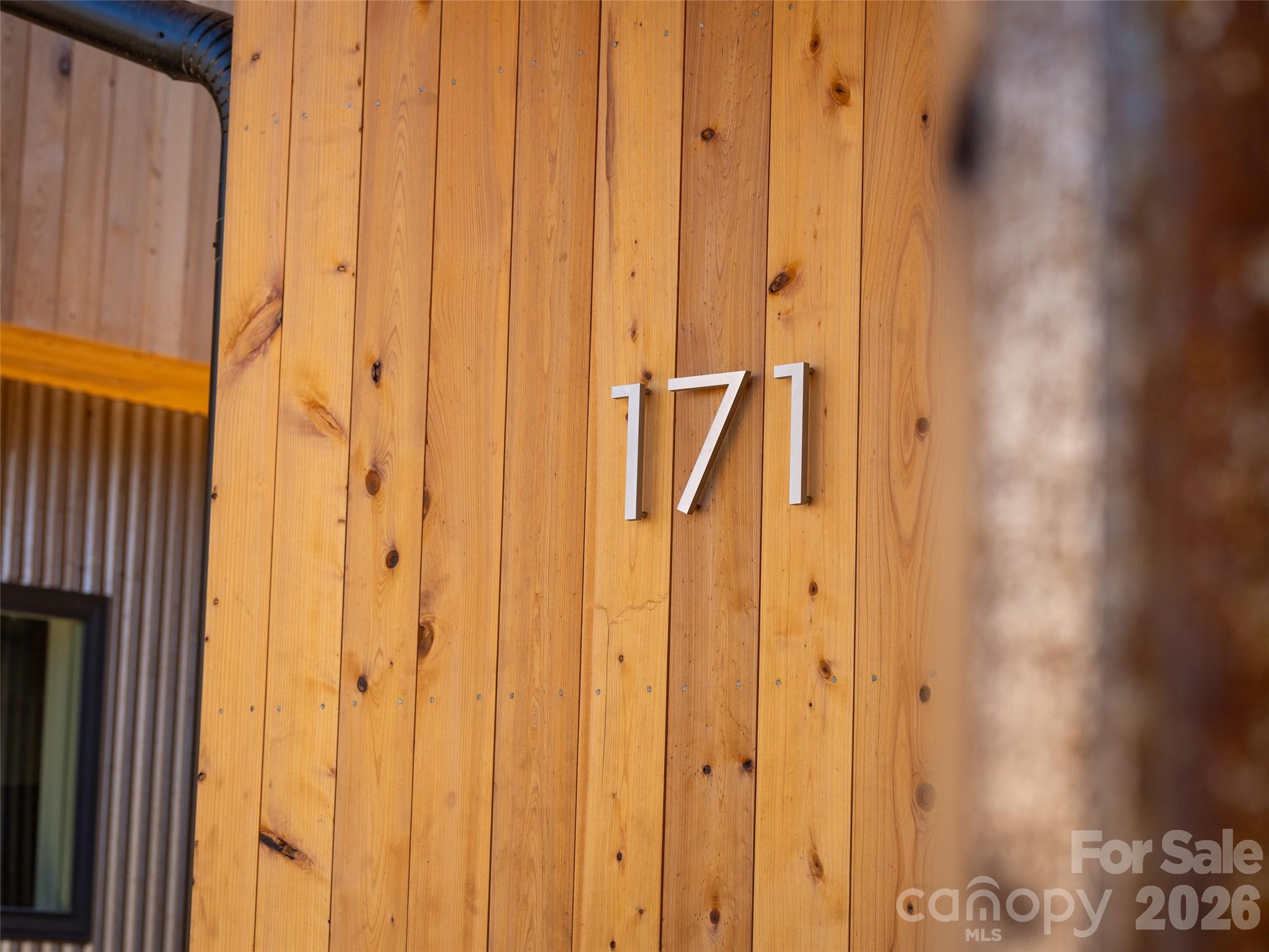 171 Houston Place — Asheville