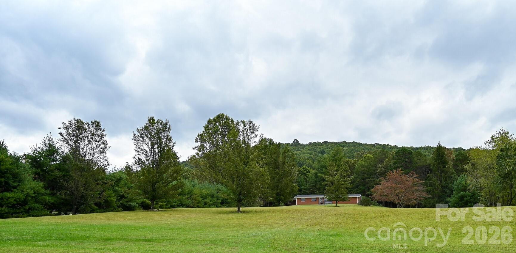 651 Case Cove Road — Candler