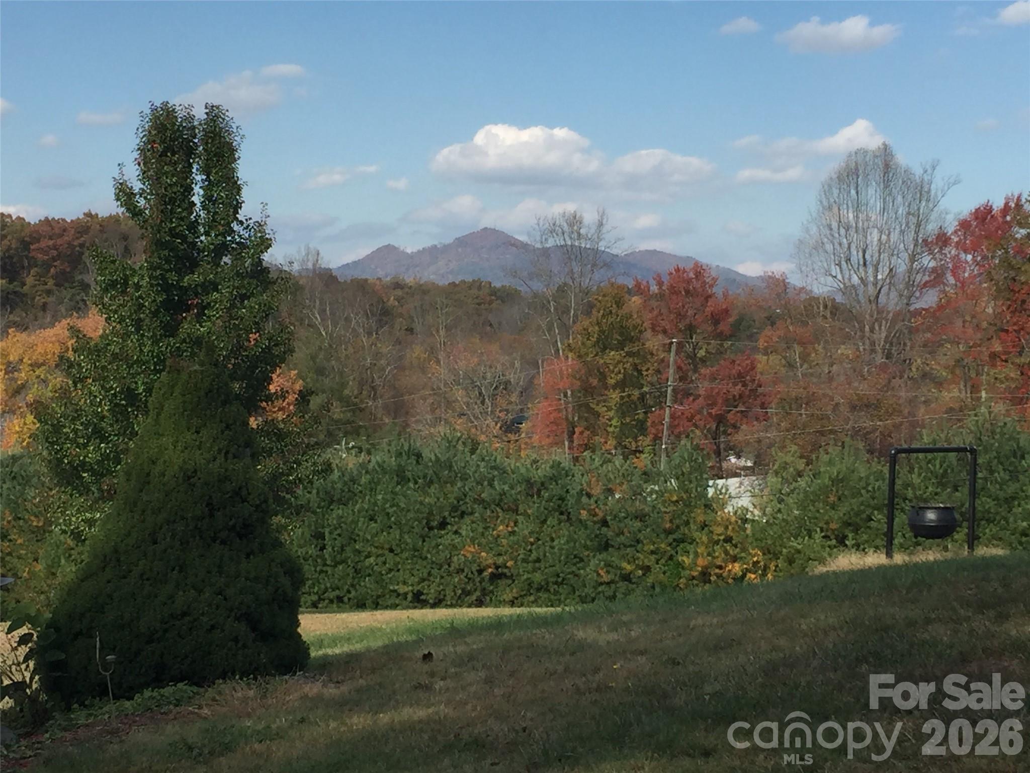 651 Case Cove Road — Candler