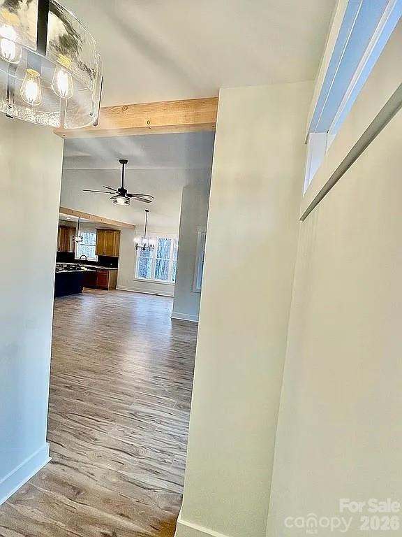 853 Spring Lake Drive — Iron Station
