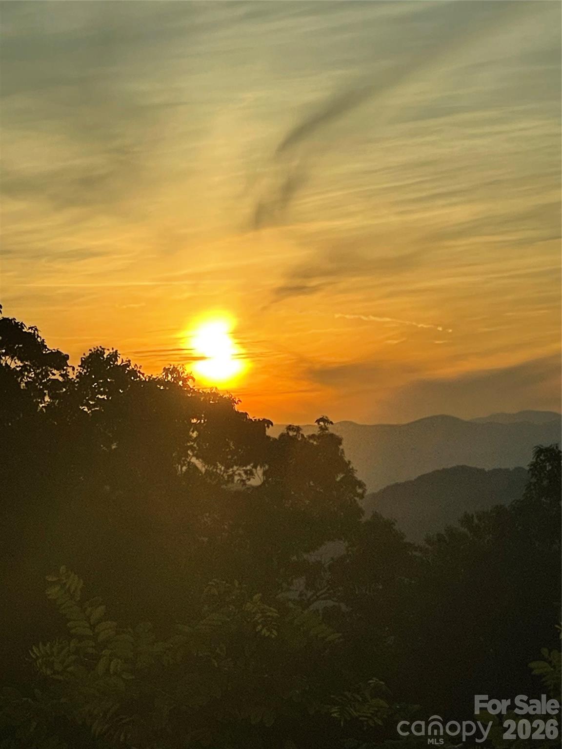 387 Goodview Drive — Hendersonville