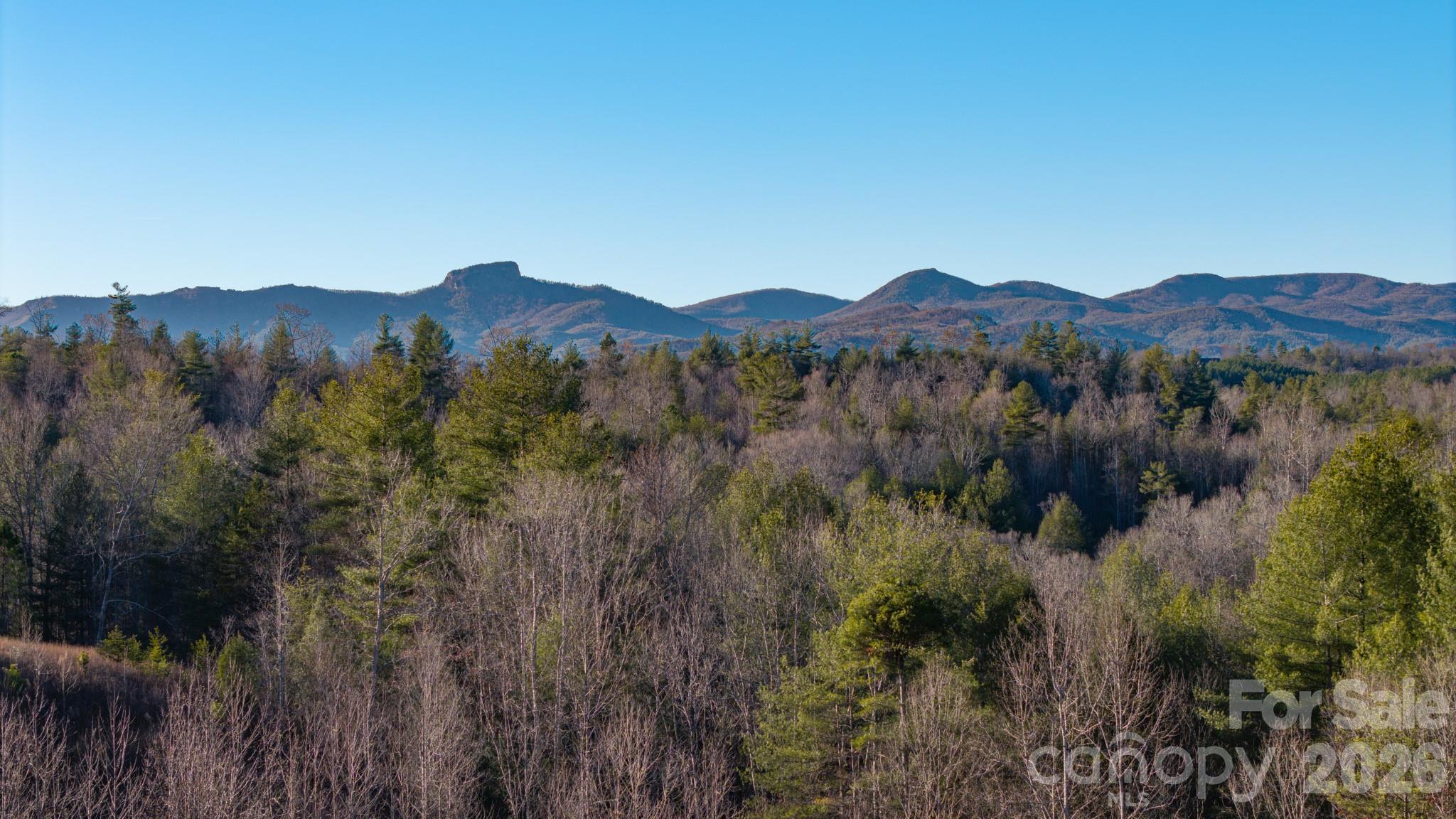 4021 & 4022 Johns River Road — Morganton