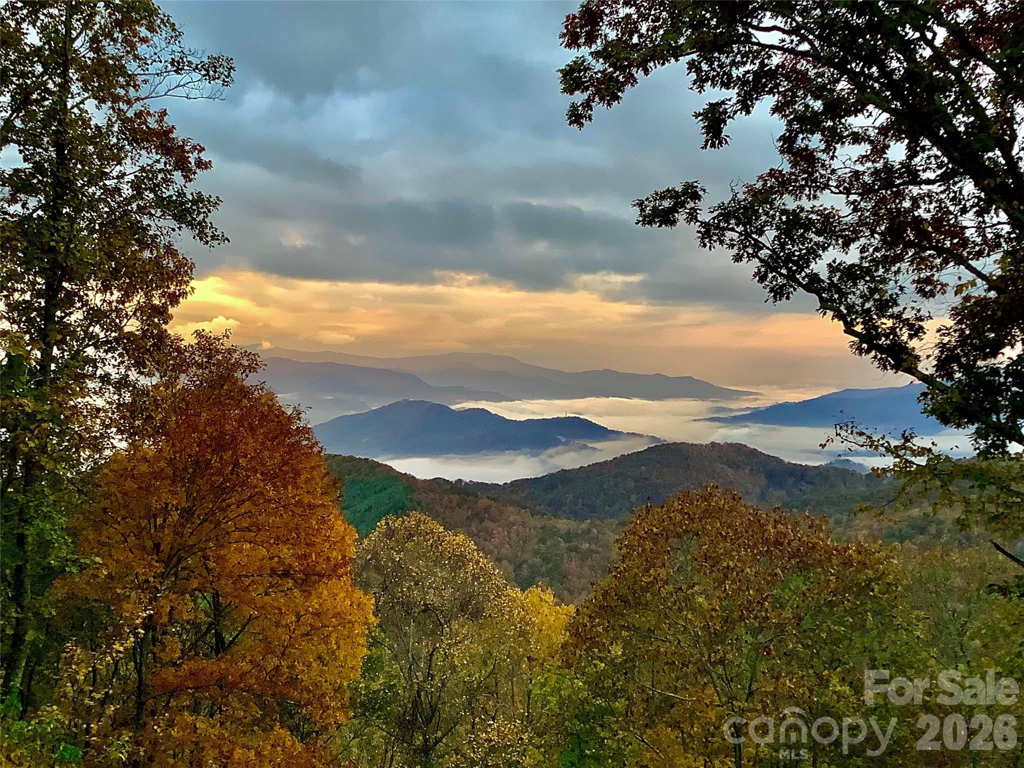 2223 Scarlet Ridge — Sylva