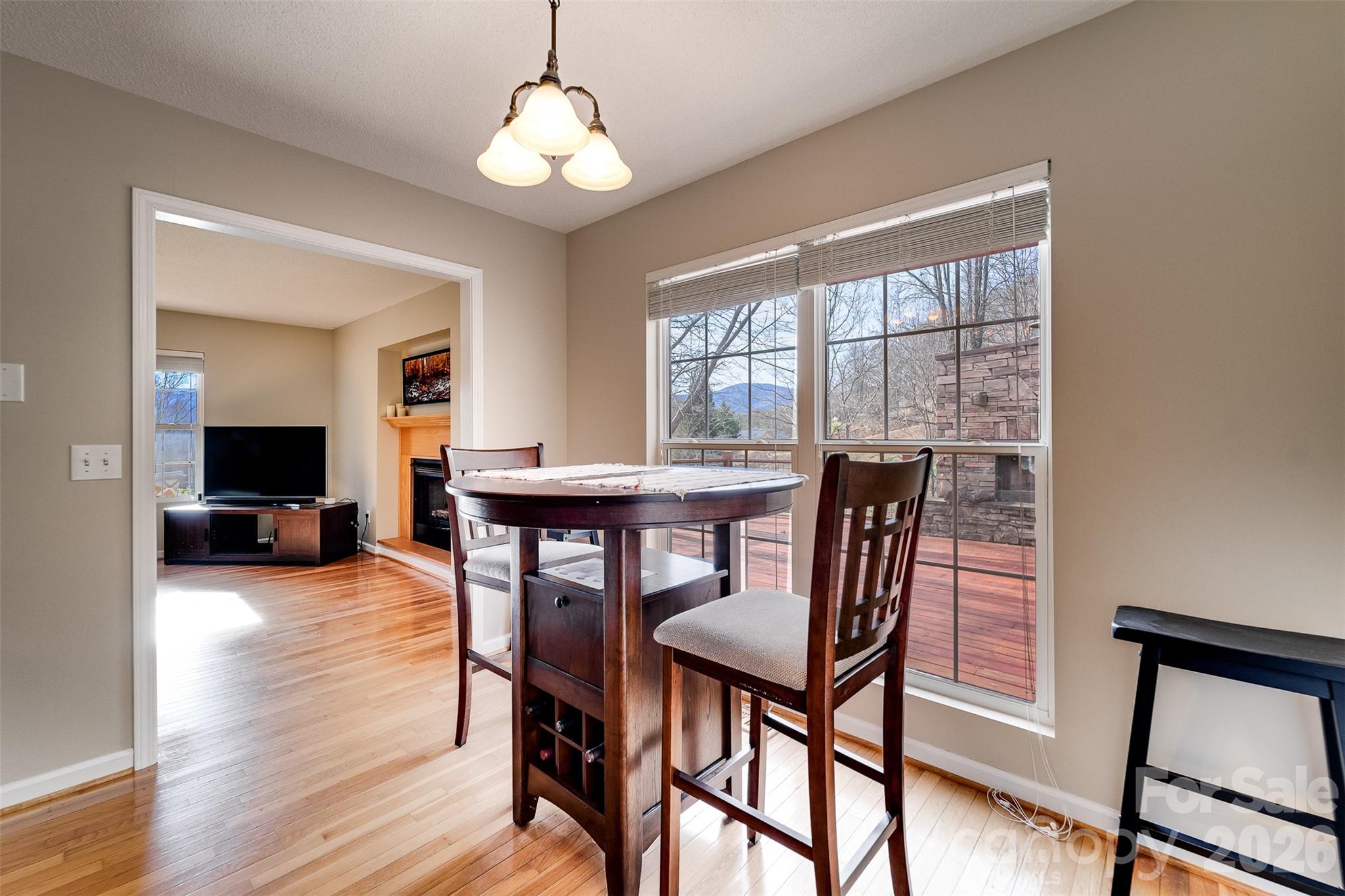 161 Rock Field Way — Sylva