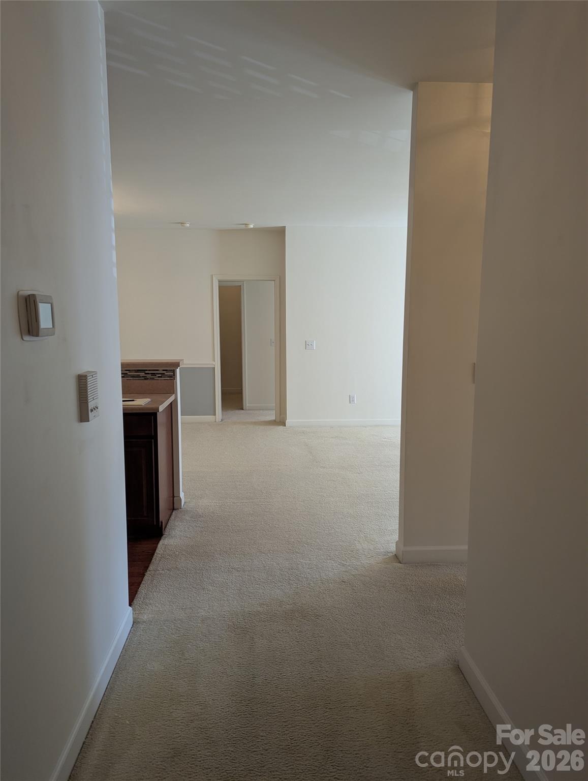 10670 Hill Point Court #10670 — Charlotte