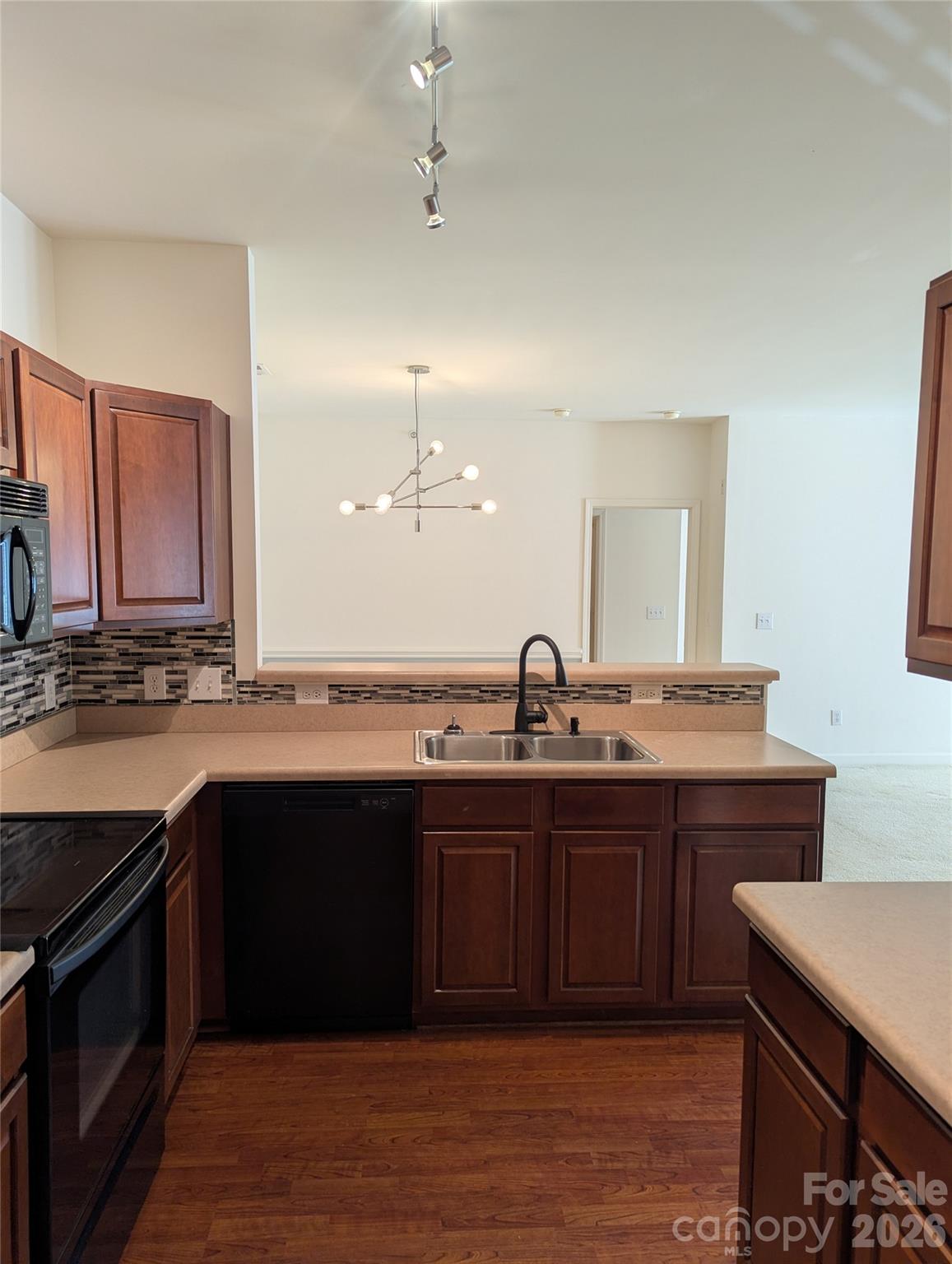 10670 Hill Point Court #10670 — Charlotte
