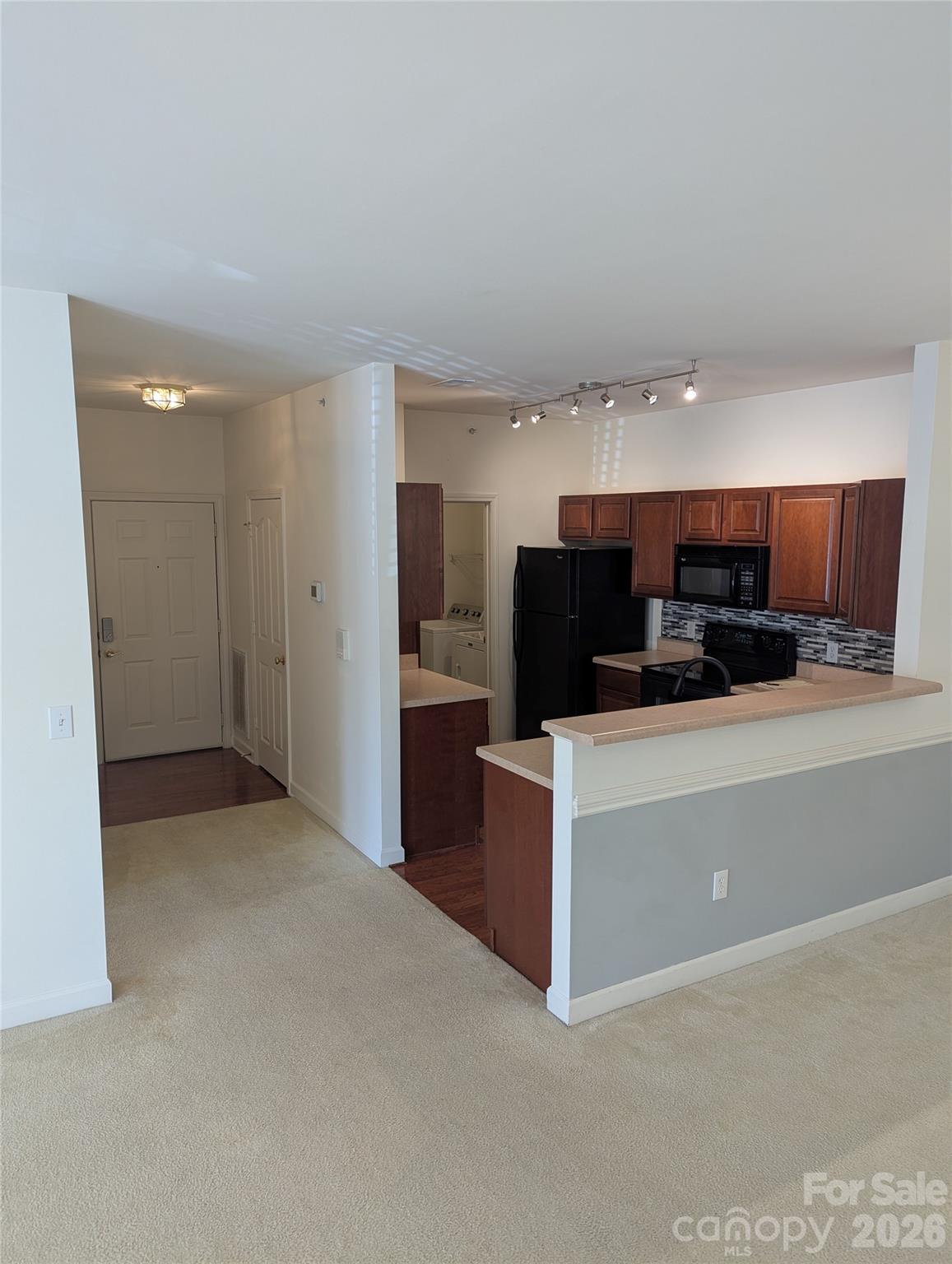 10670 Hill Point Court #10670 — Charlotte