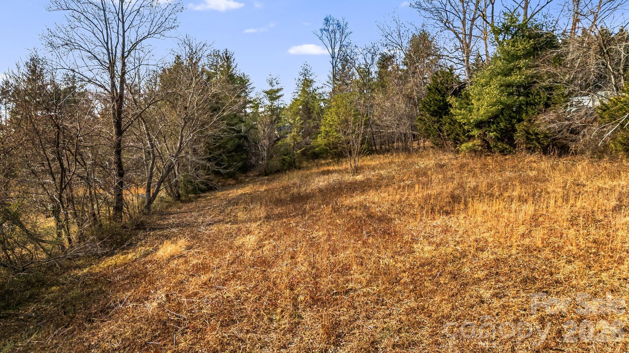 1236 Upper Brush Creek Road — Fairview