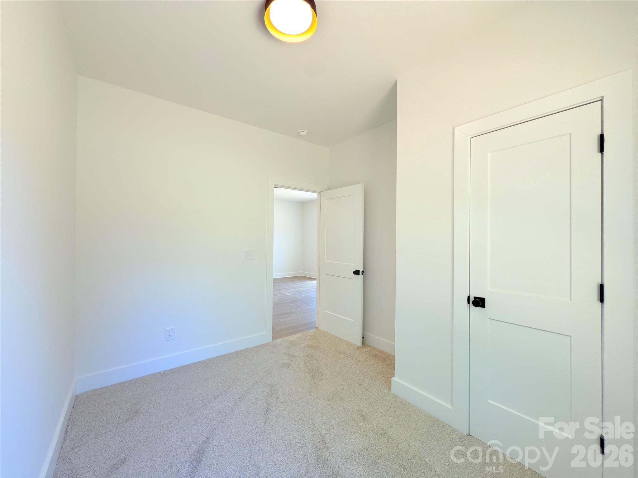 217 Carlie Street — Norwood