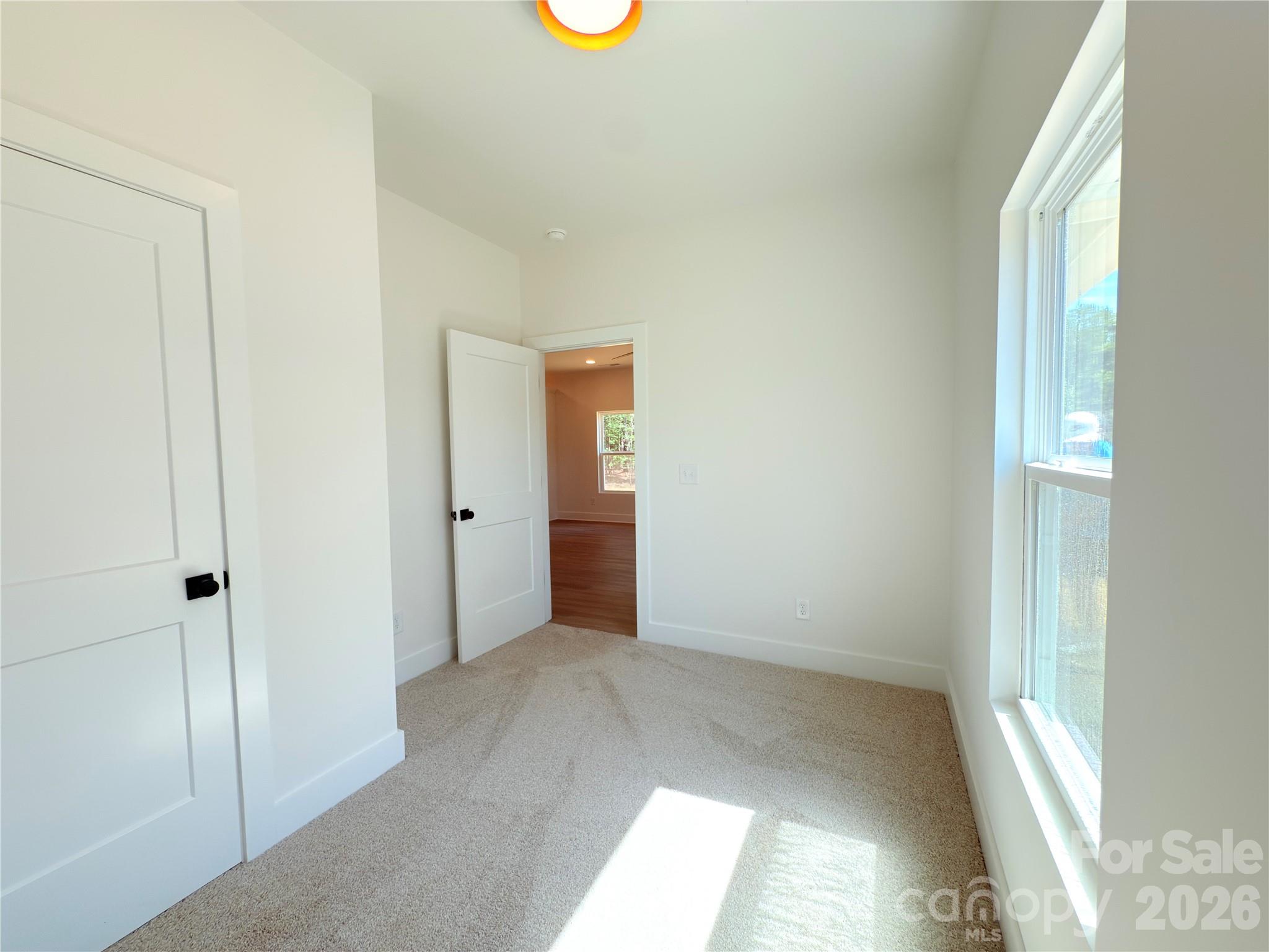217 Carlie Street — Norwood