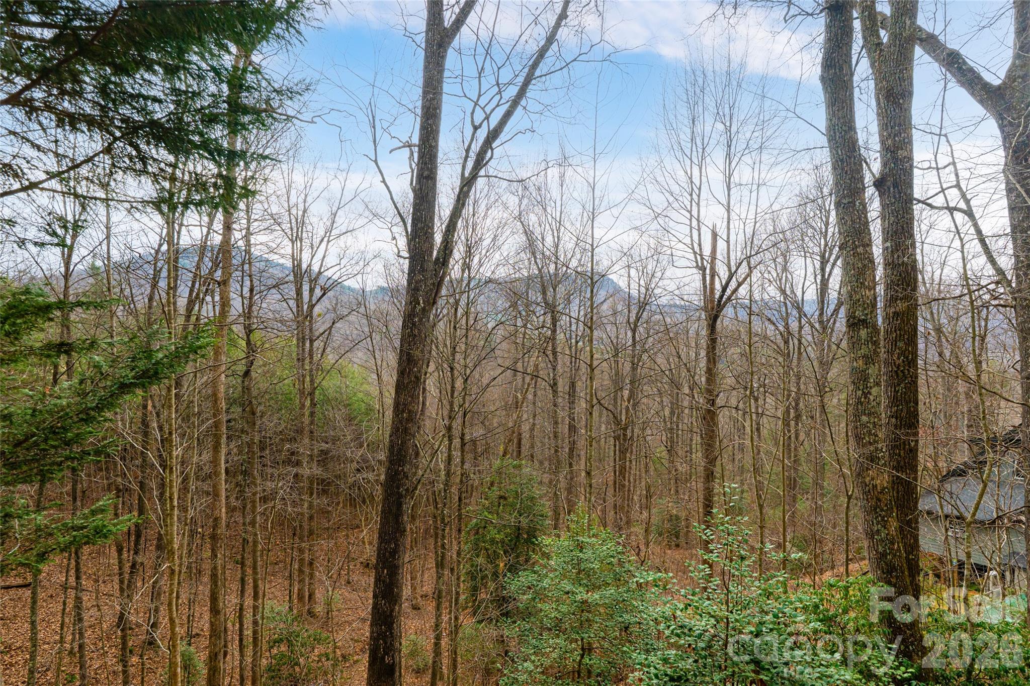 31 Timber Park Drive — Black Mountain