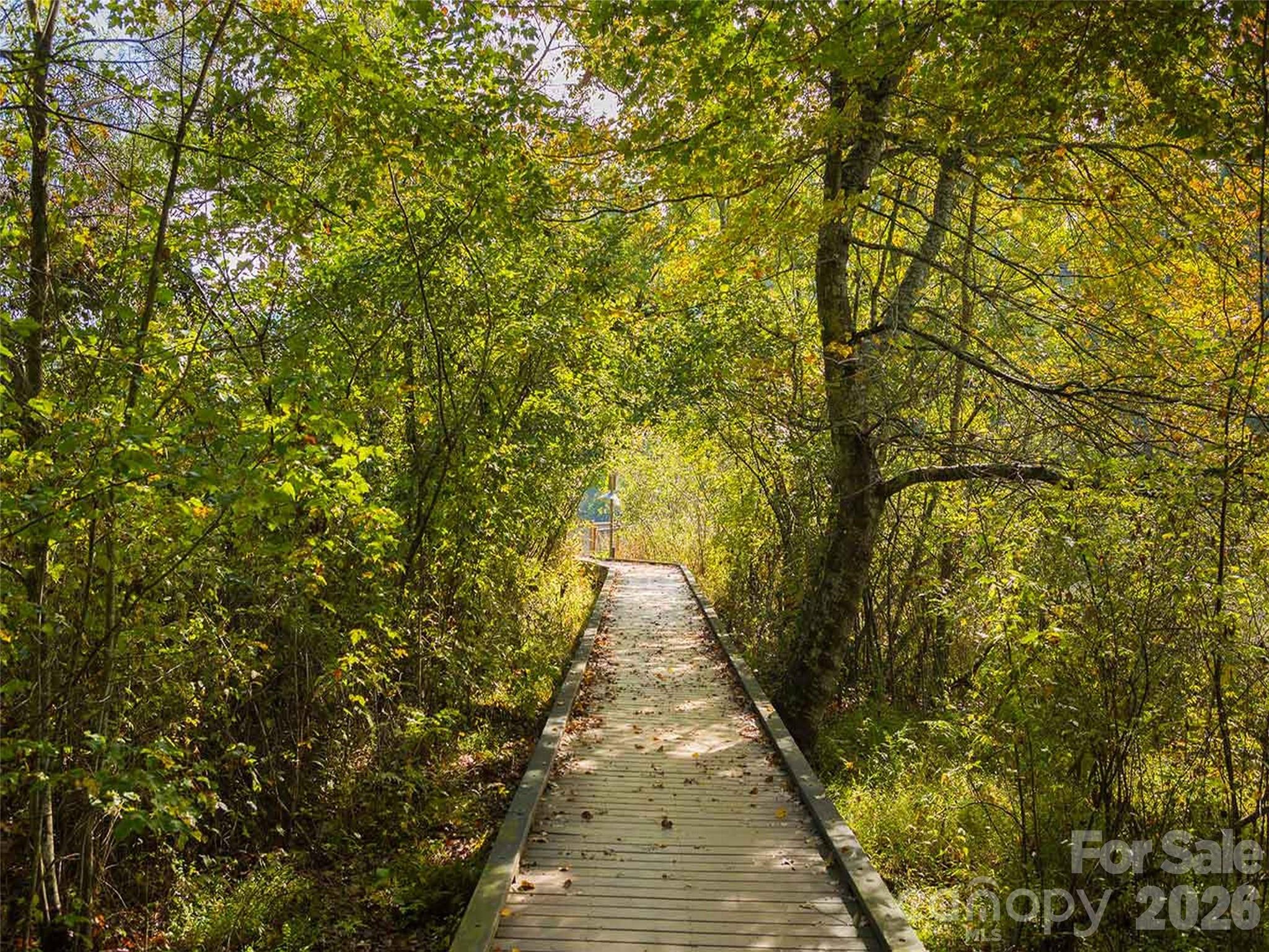 26 Balsam High Road — Biltmore Lake