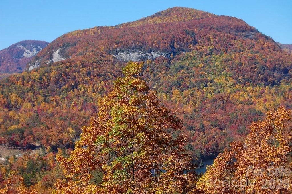 109 Overlook Point Lane — Lake Lure