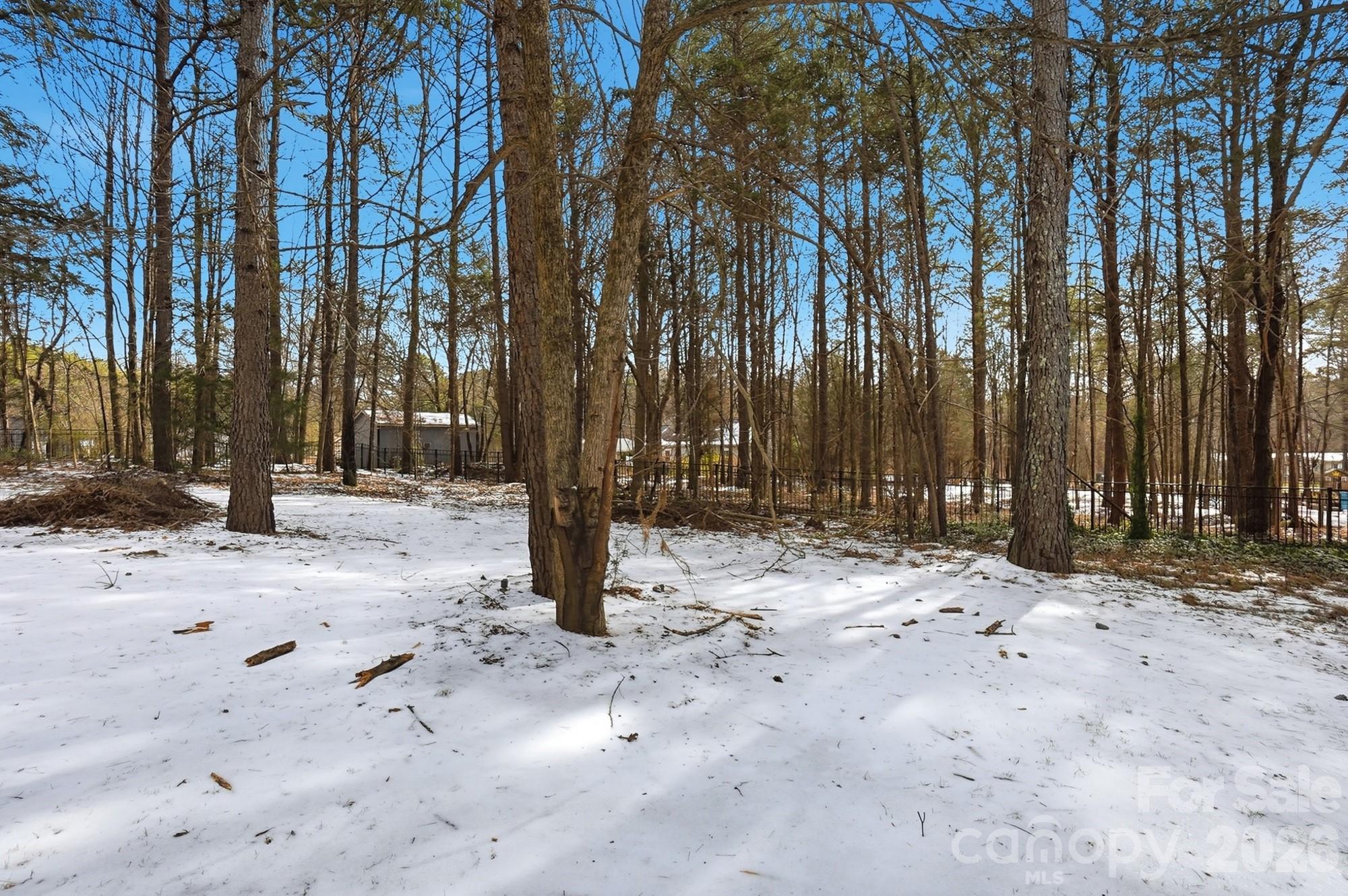 160 Arrow Point Lane — Davidson