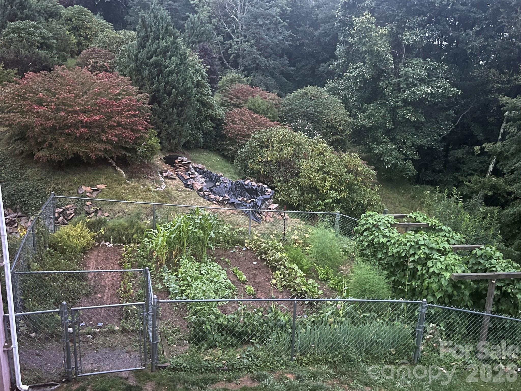 2778 Mule Stomp Road — Hot Springs