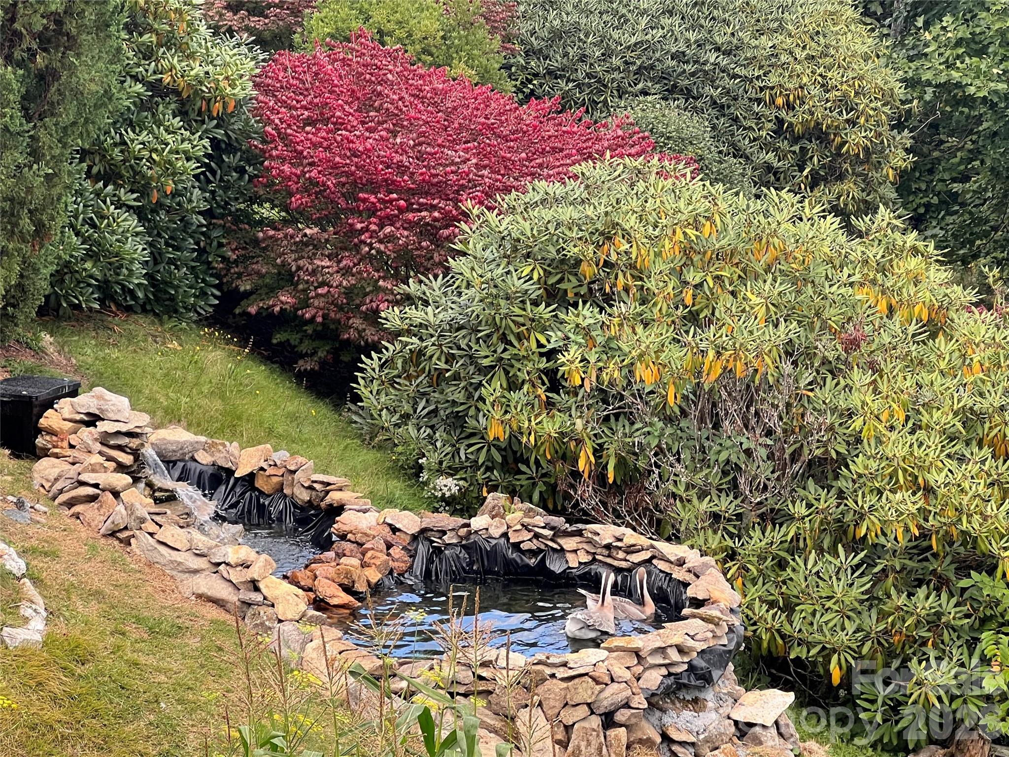2778 Mule Stomp Road — Hot Springs