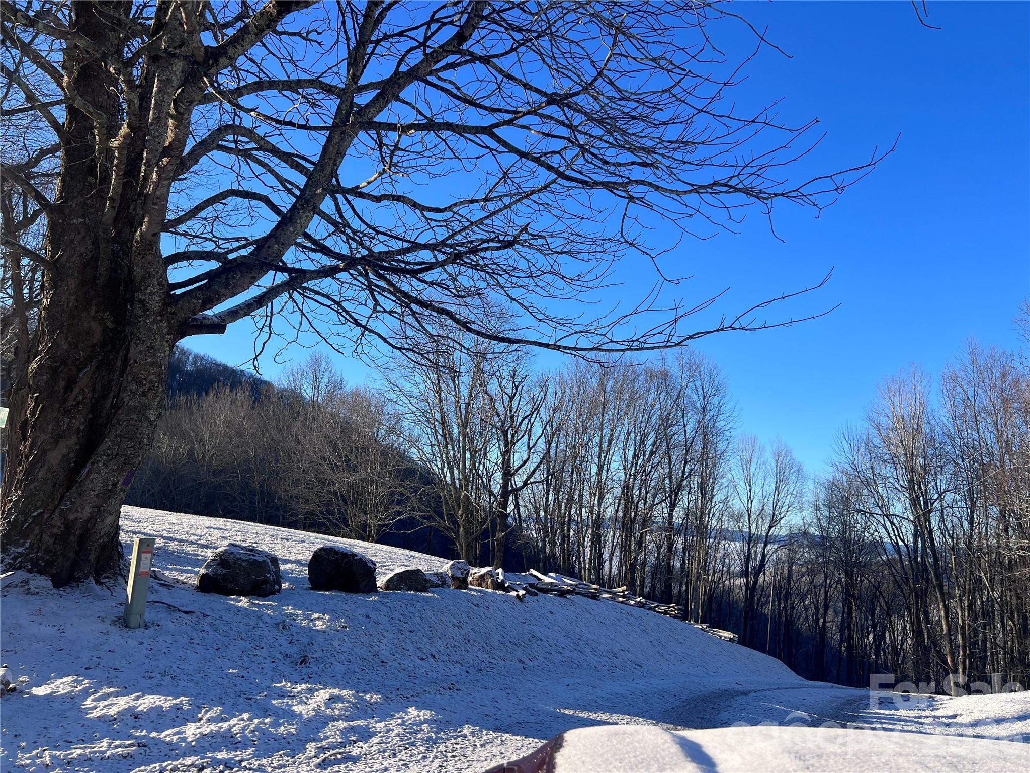 2778 Mule Stomp Road — Hot Springs