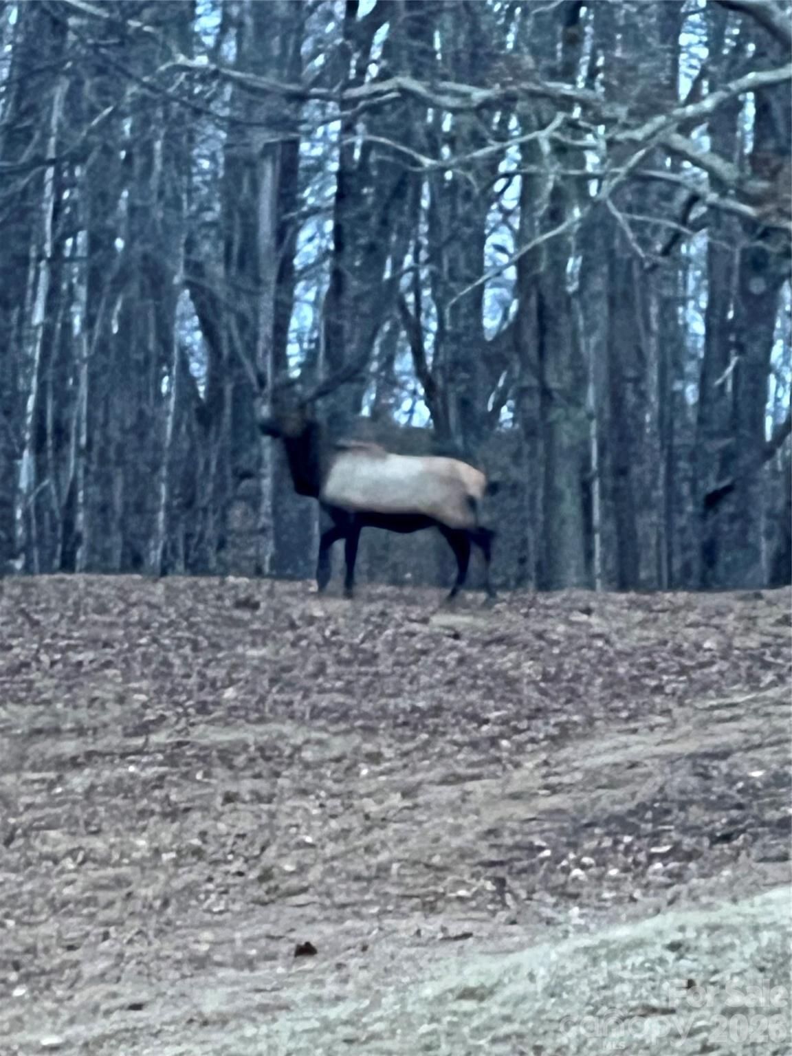 2778 Mule Stomp Road — Hot Springs