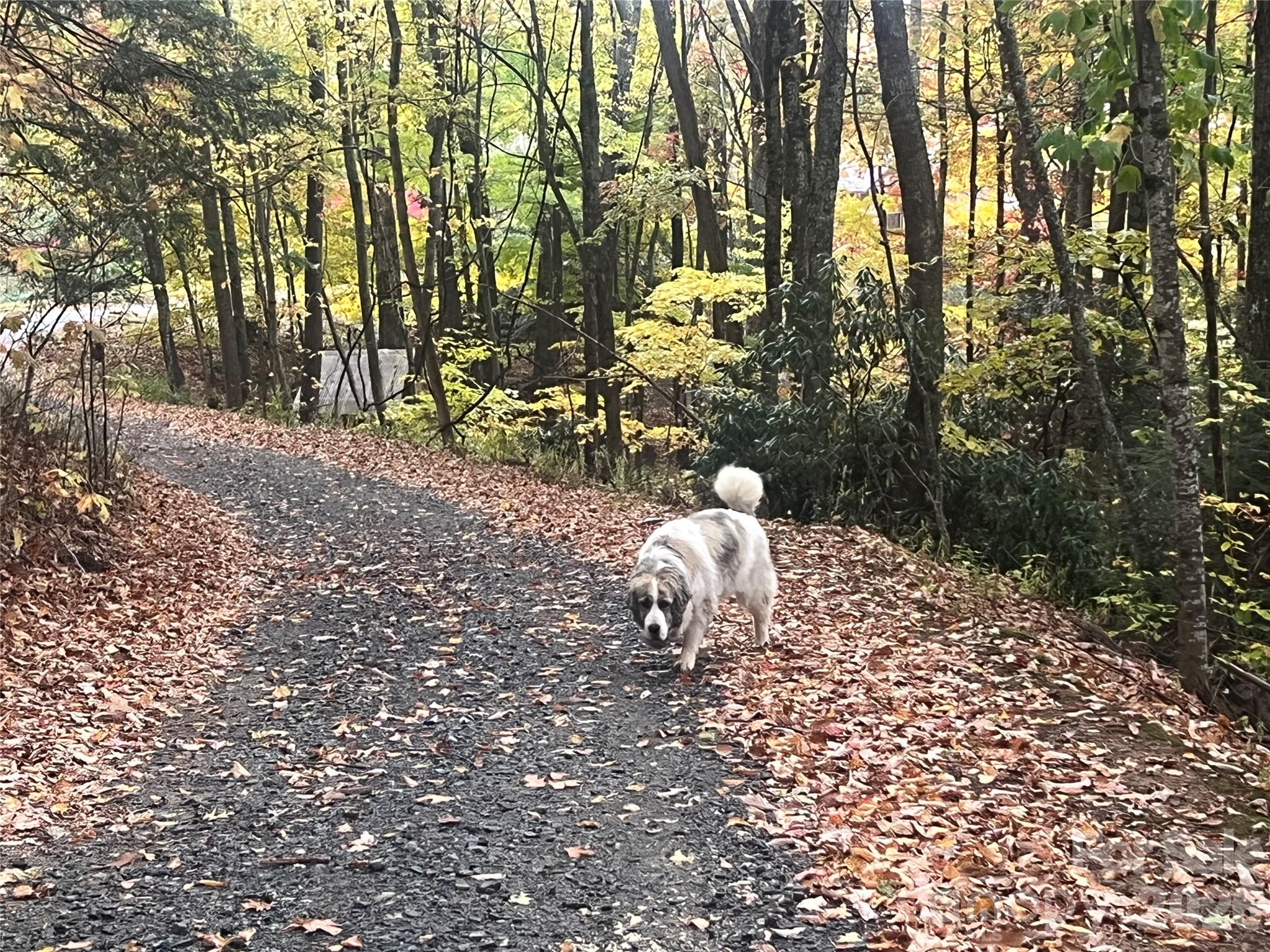 2778 Mule Stomp Road — Hot Springs