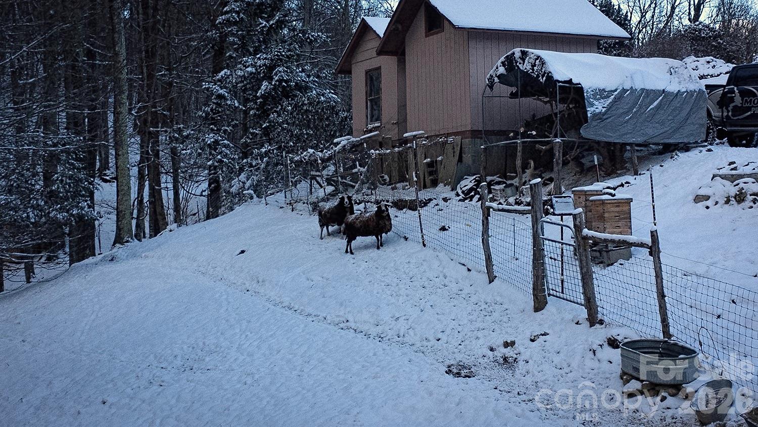2778 Mule Stomp Road — Hot Springs