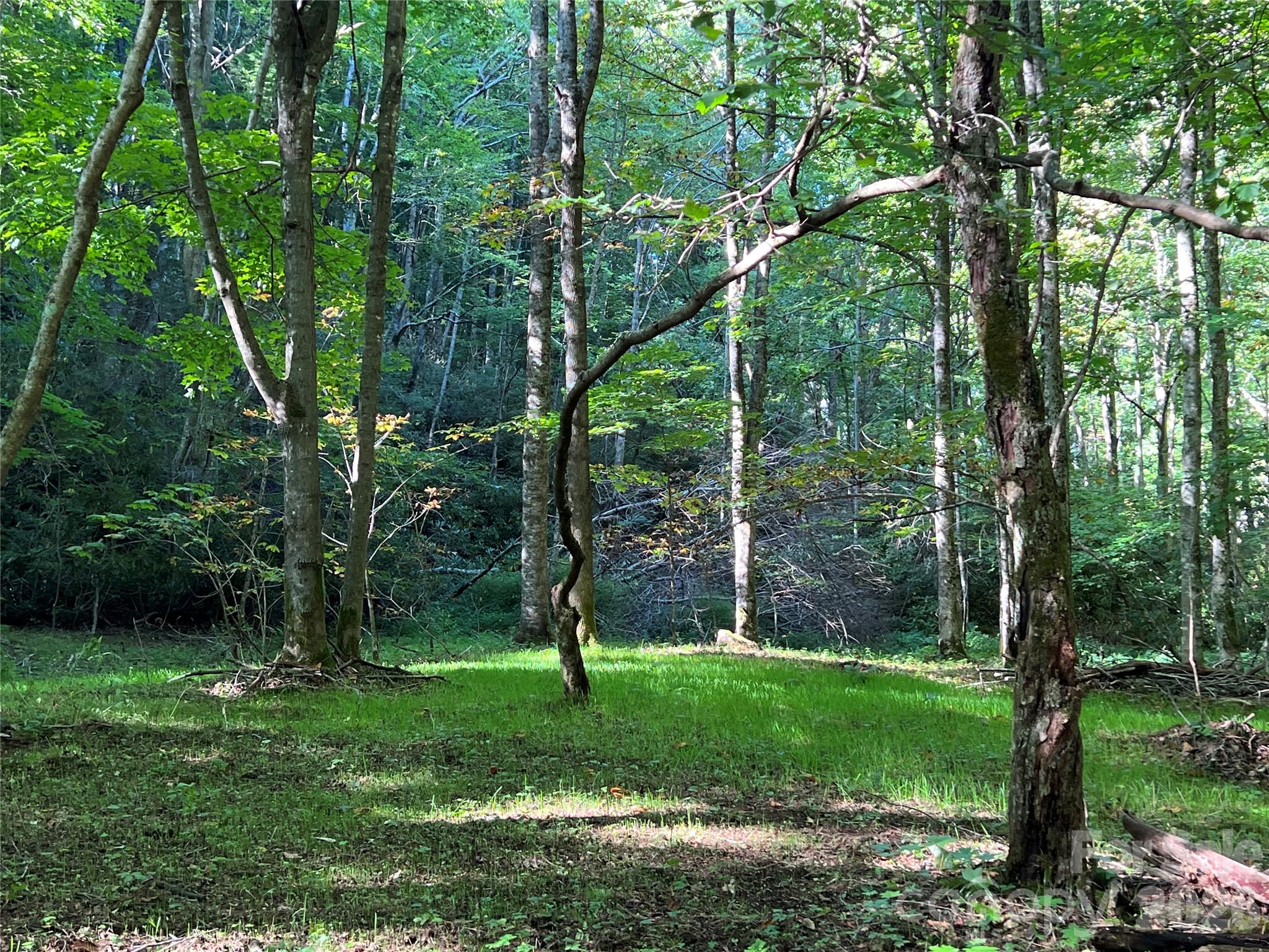 2778 Mule Stomp Road — Hot Springs