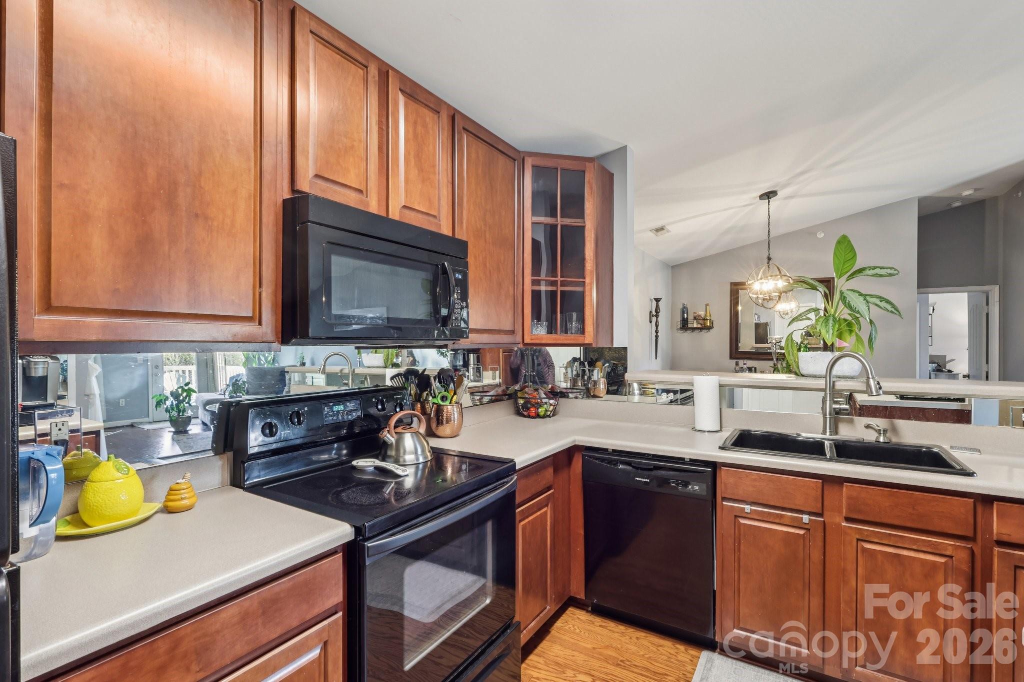 10742 Hill Point Court — Charlotte