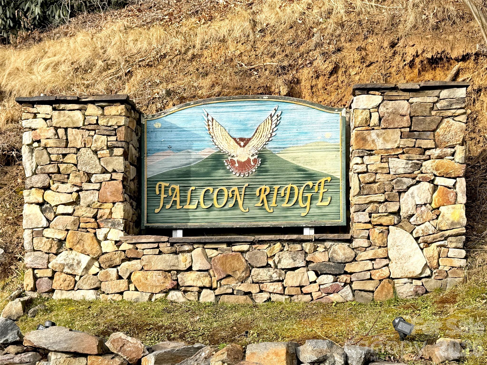 371 Falcon Ridge Drive — Waynesville