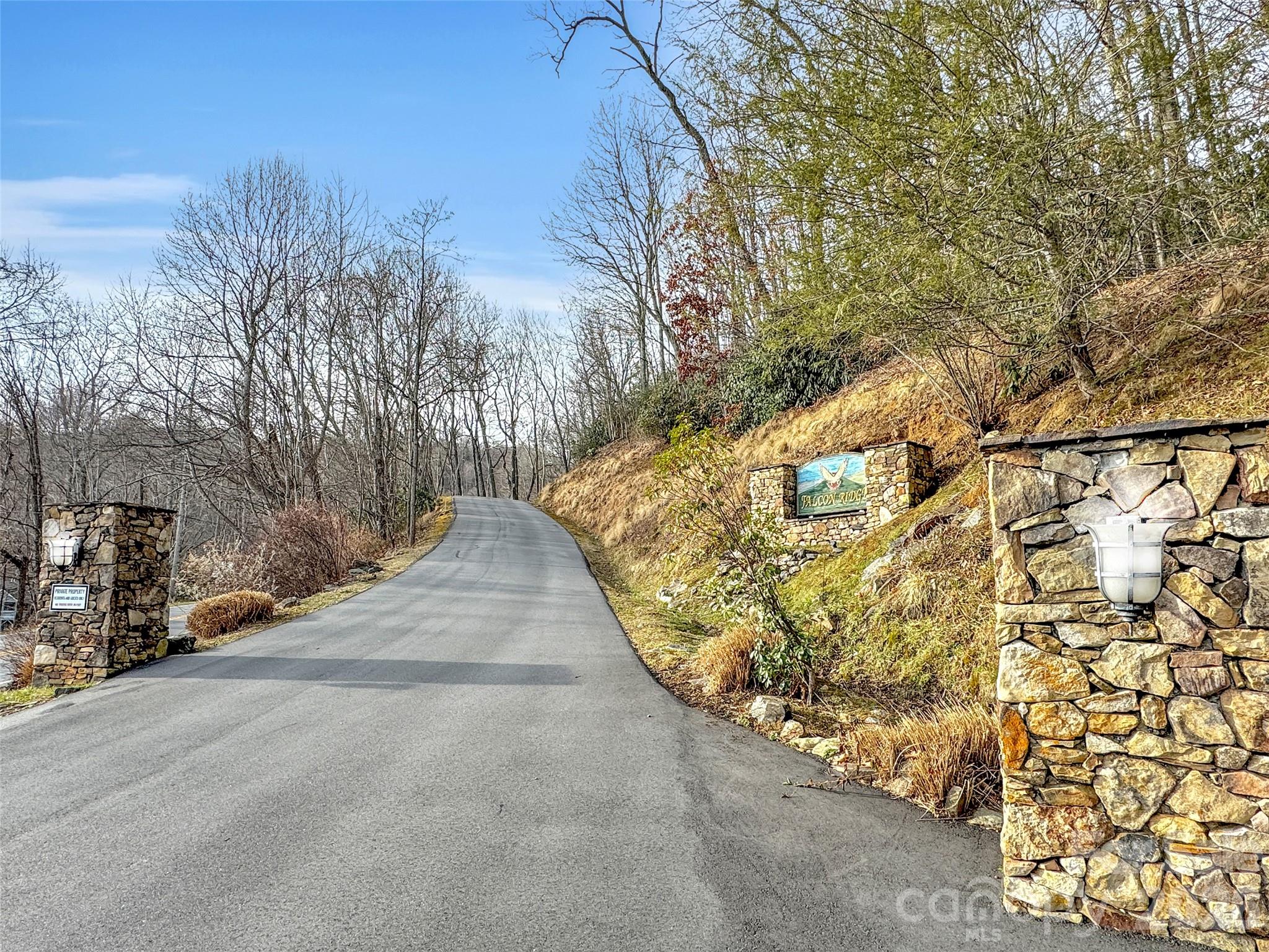 371 Falcon Ridge Drive — Waynesville