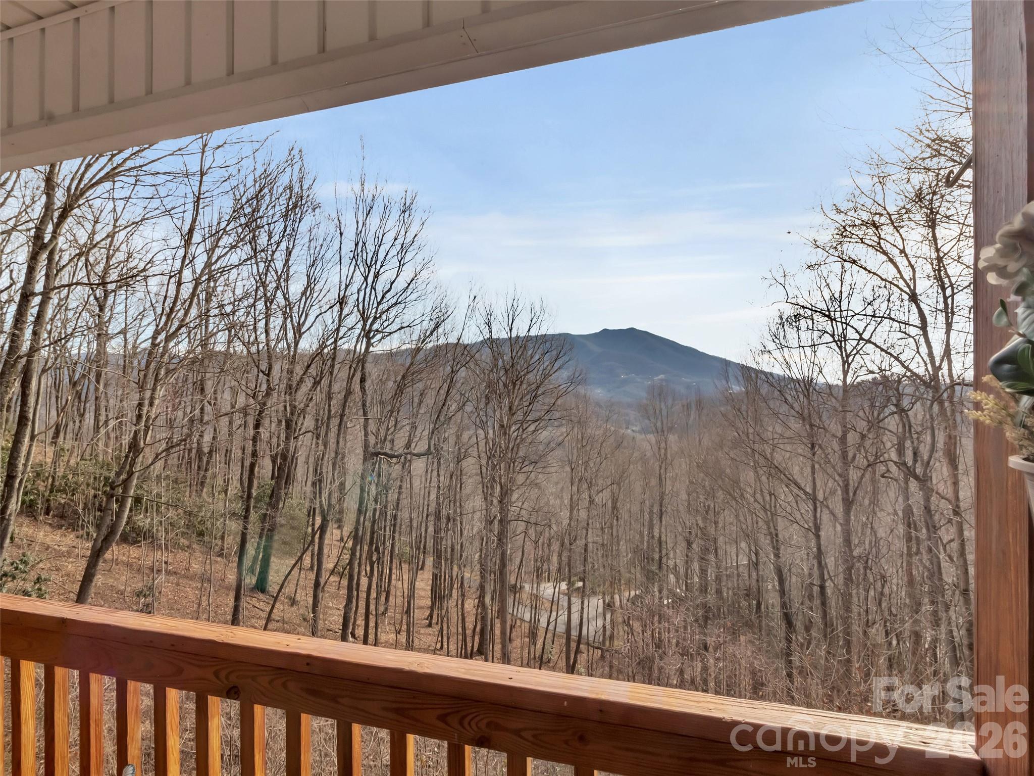 371 Falcon Ridge Drive — Waynesville