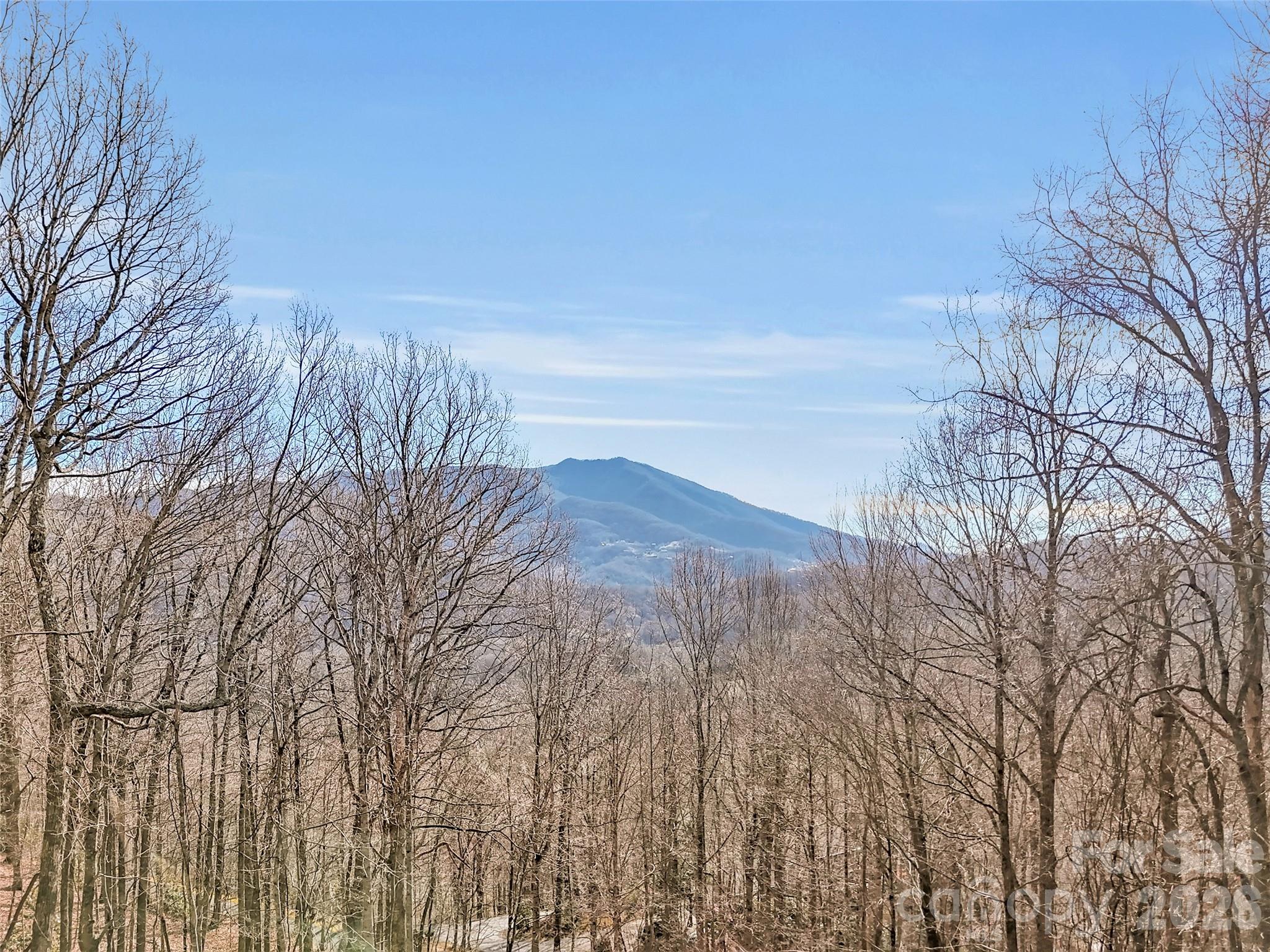 371 Falcon Ridge Drive — Waynesville