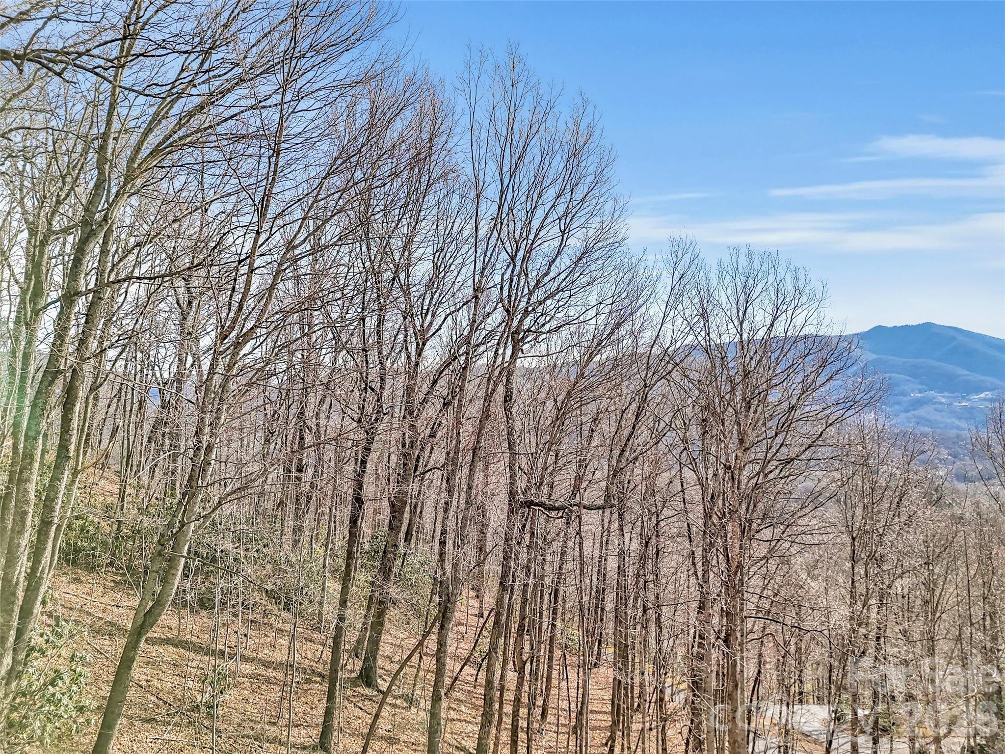 371 Falcon Ridge Drive — Waynesville
